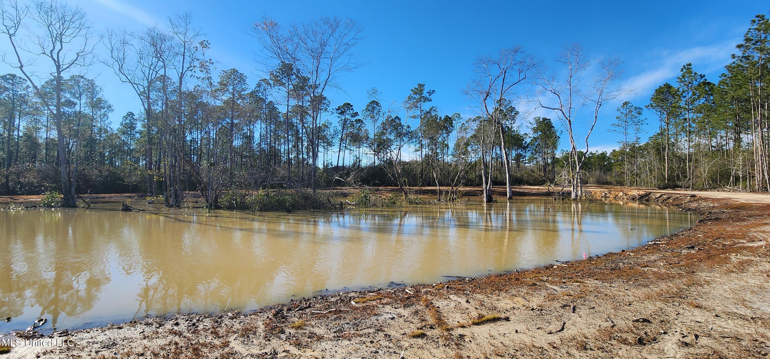 40 Acres Runnymede Road, Pass Christian, Mississippi image 17