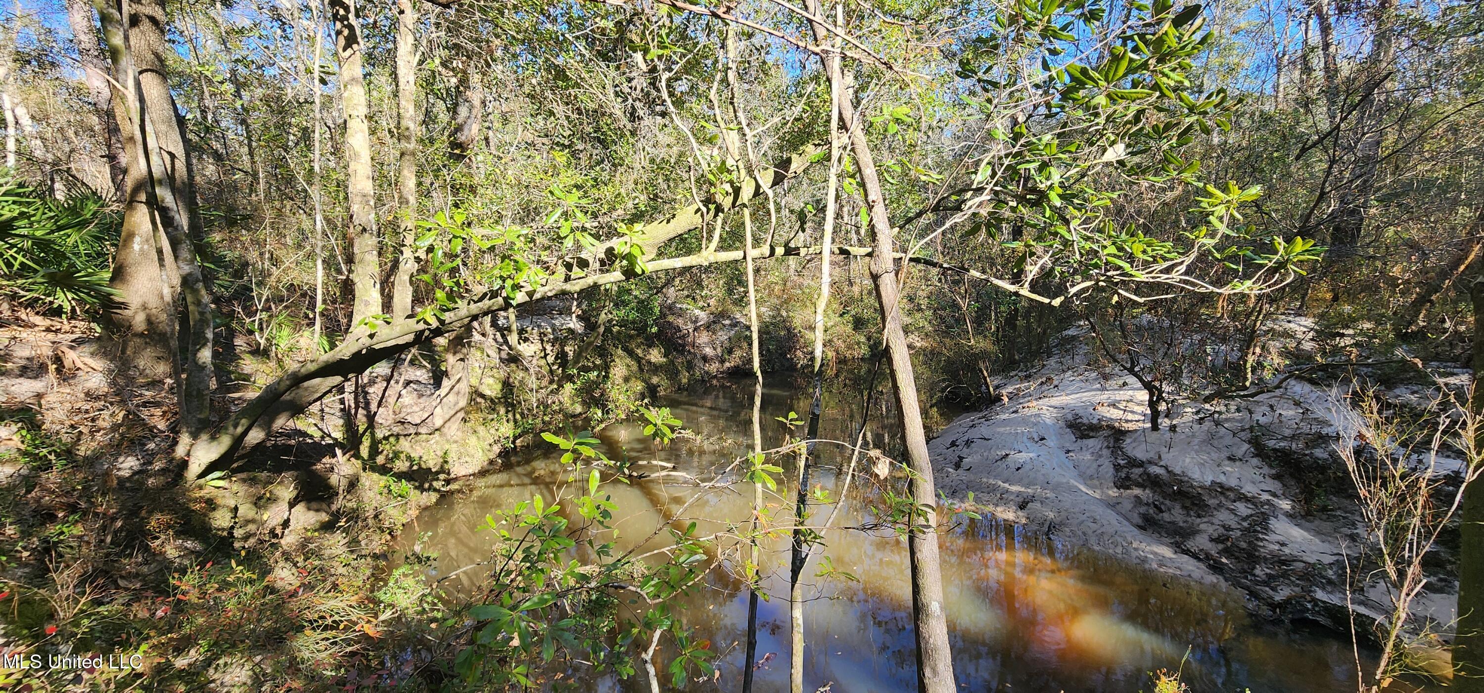 40 Acres Runnymede Road, Pass Christian, Mississippi image 14