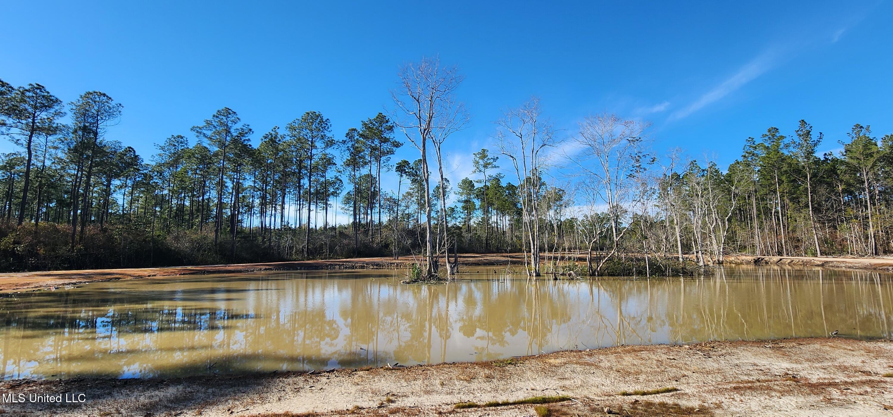 40 Acres Runnymede Road, Pass Christian, Mississippi image 18