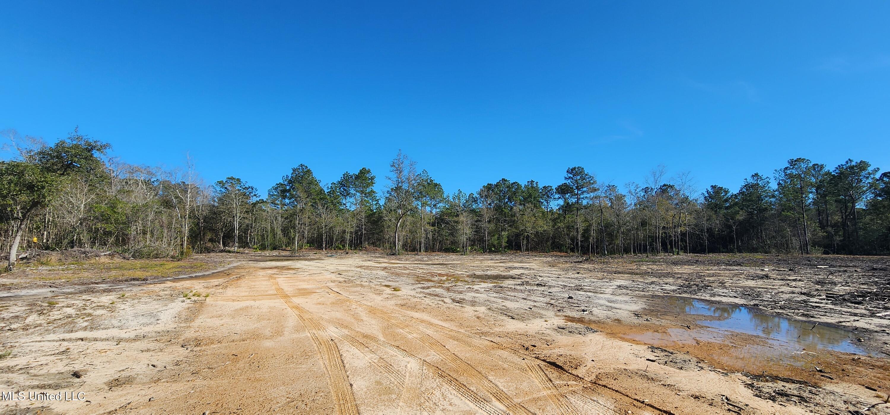 40 Acres Runnymede Road, Pass Christian, Mississippi image 7