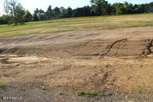 Vacant Land For Sale - 29 Chapel Hill Subdivision<br/> Holly Springs, MS 38635