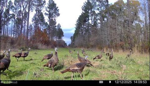 Vacant Land For Sale - 6145 Dry Grove Road<br/> Terry, MS 39170