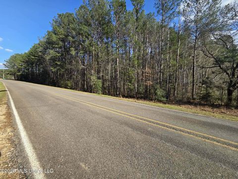 Vacant Land For Sale - NE Fair River Drive<br/> Brookhaven, MS 39601