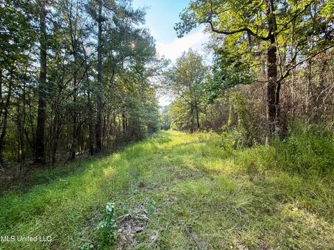 Vacant Land For Sale - 5450 Jernigan Road<br/> Amite County, Liberty, MS 39645