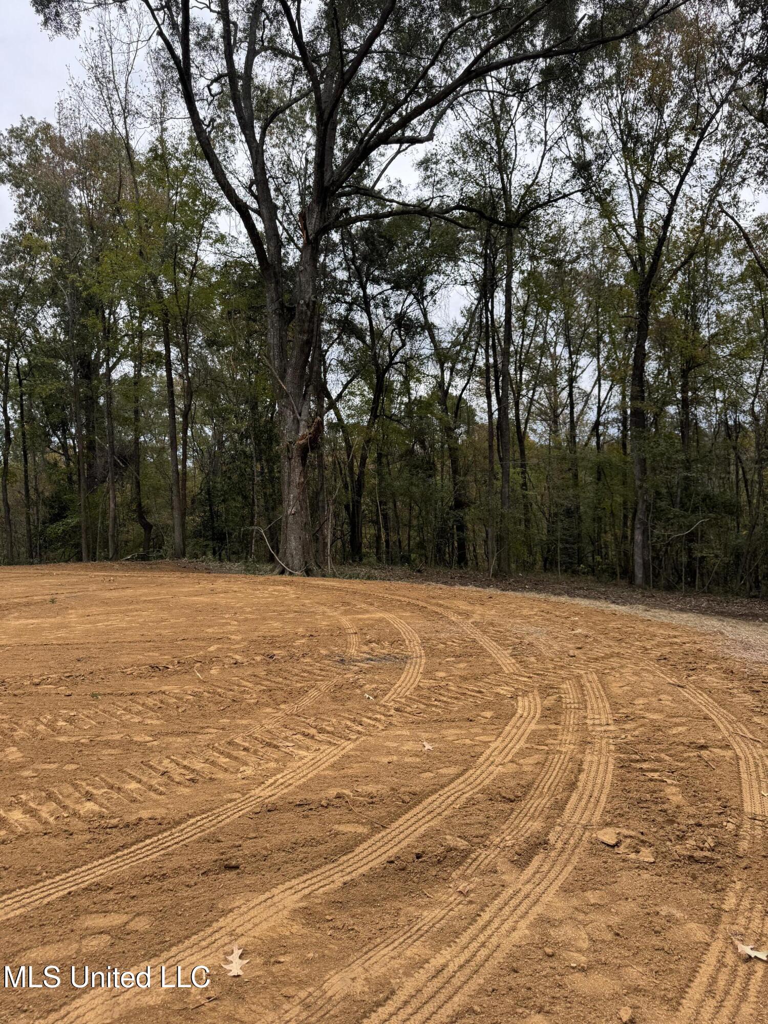 Deer Lake Rd, Natchez, Mississippi image 4