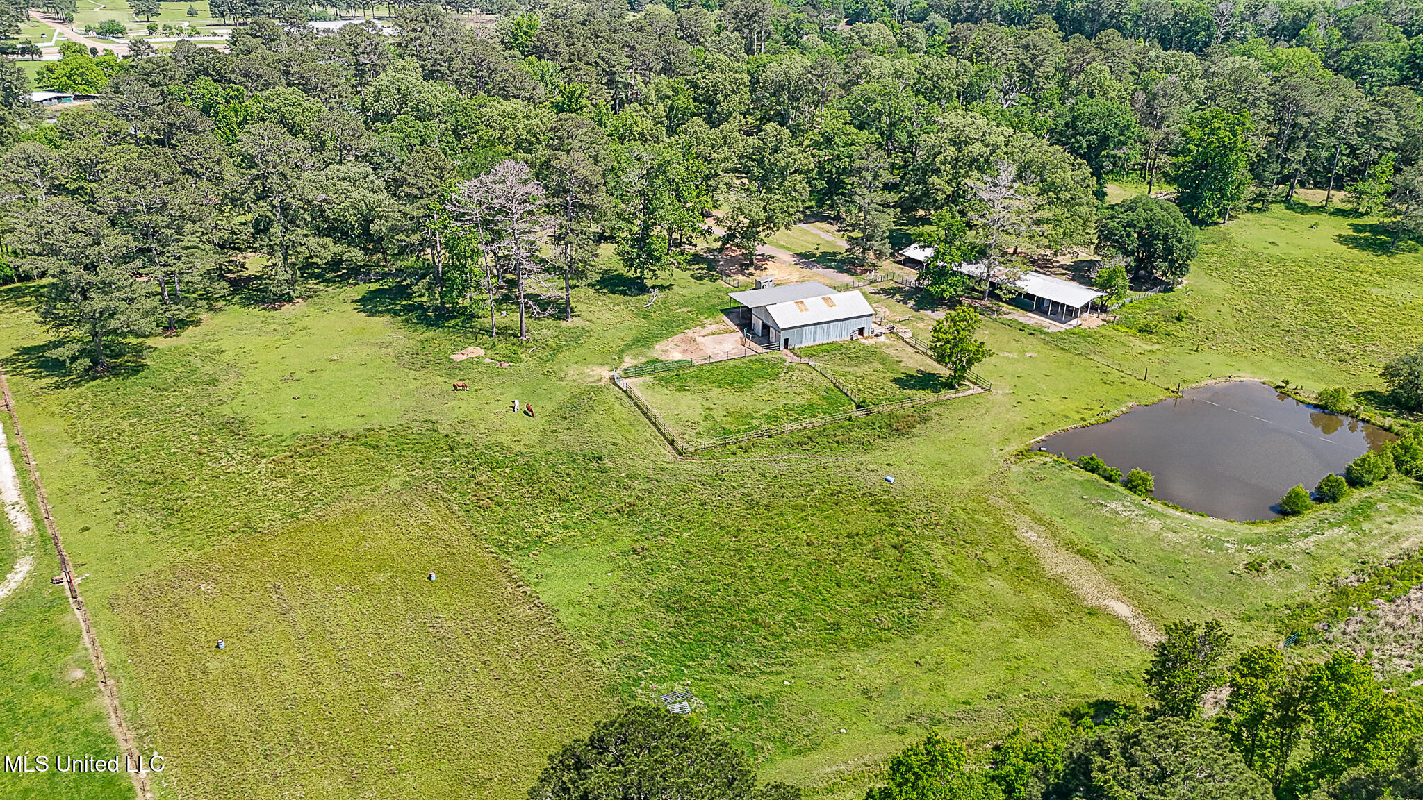 10855 Hwy 49n, Jackson, Mississippi image 37