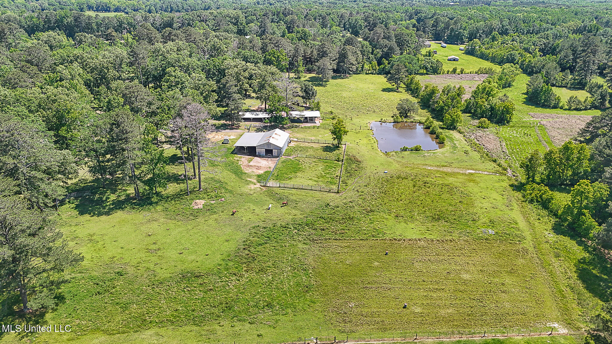 10855 Hwy 49n, Jackson, Mississippi image 40