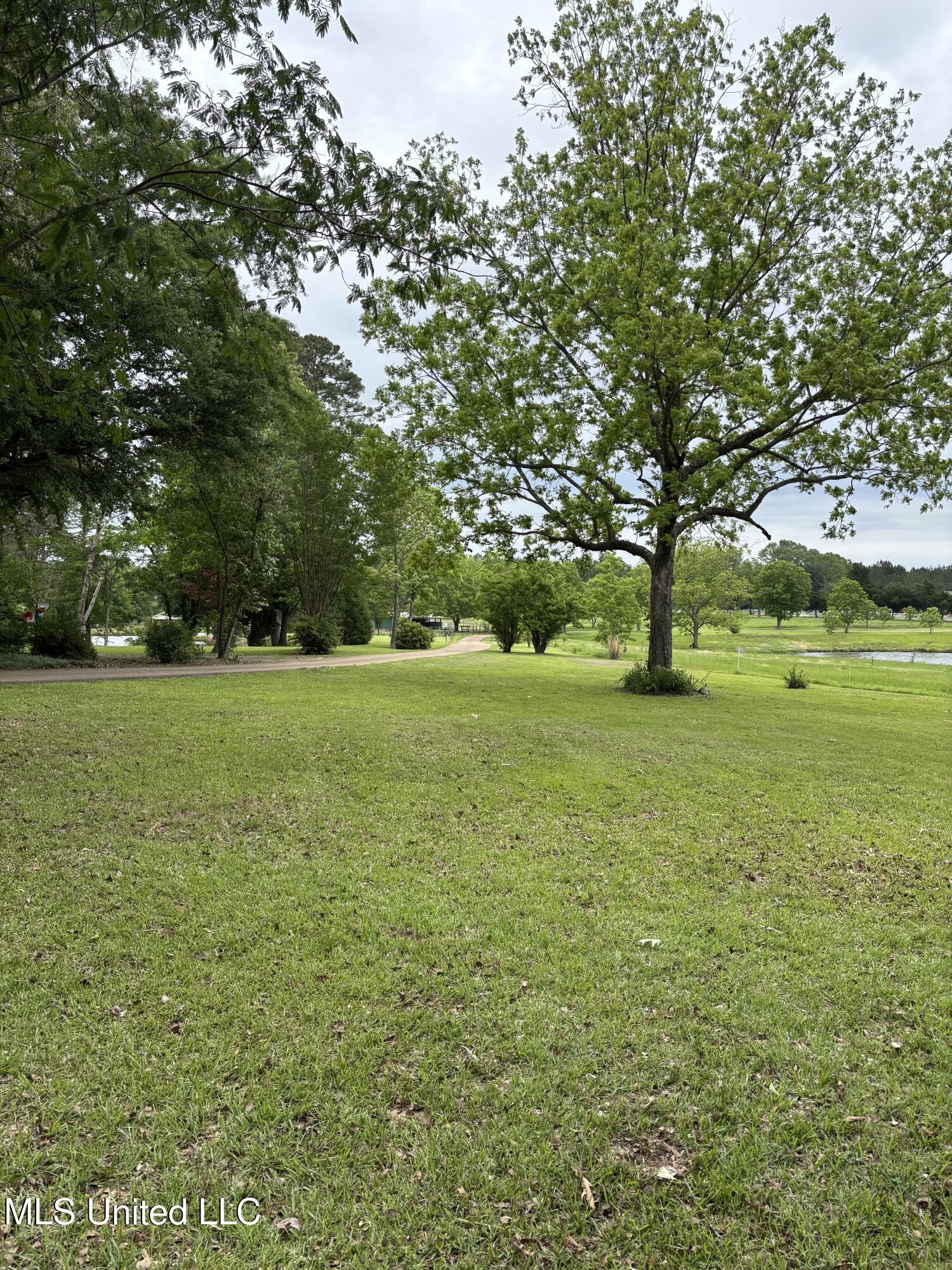 10855 Hwy 49n, Jackson, Mississippi image 7