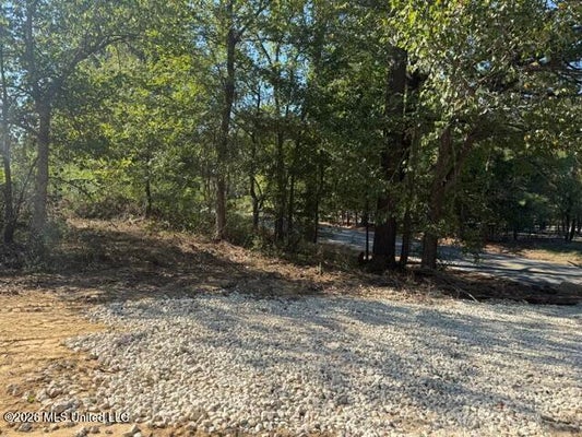 ADDRESS PRIVATE, HERNANDO, MS  - Image e4ac7b2ea2ec48be30ffe16288c2bc08/3741113370