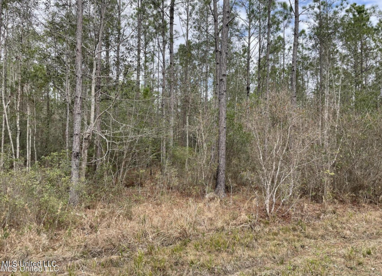 Ms-43 Parcel 2, Kiln, Mississippi image 1