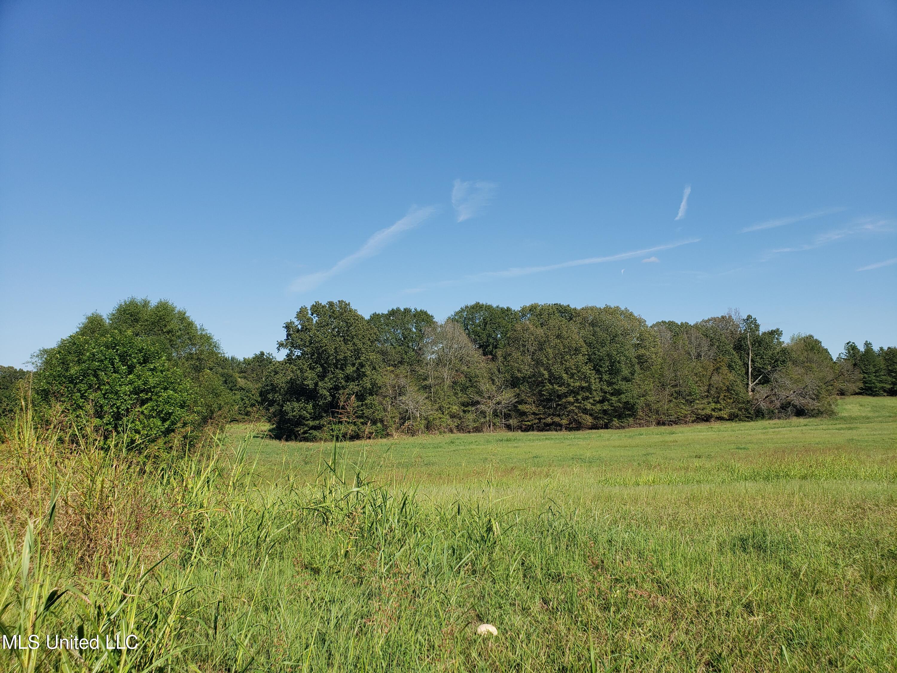 Byhalia Road, Hernando, Mississippi image 37