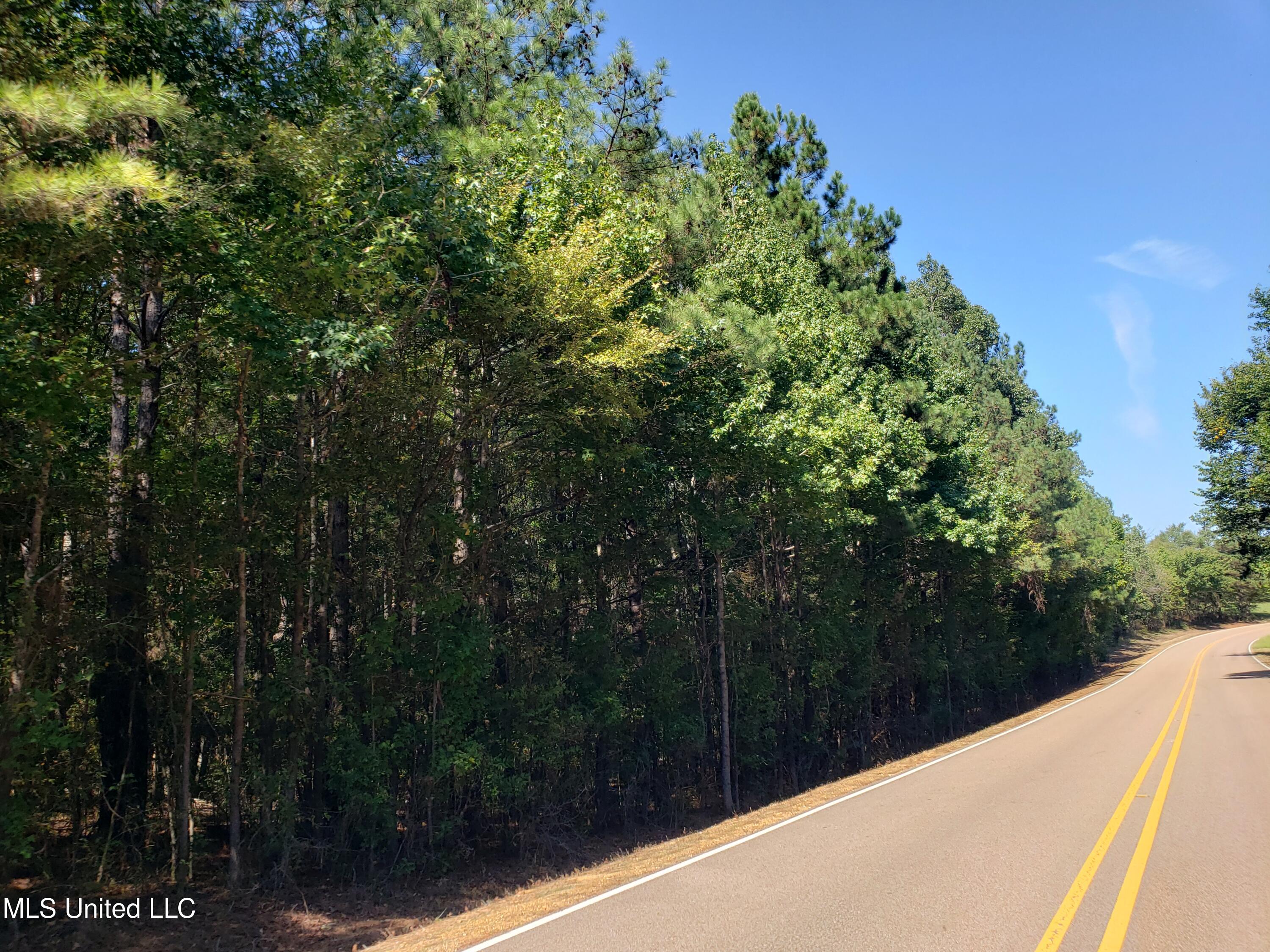 Byhalia Road, Hernando, Mississippi image 19