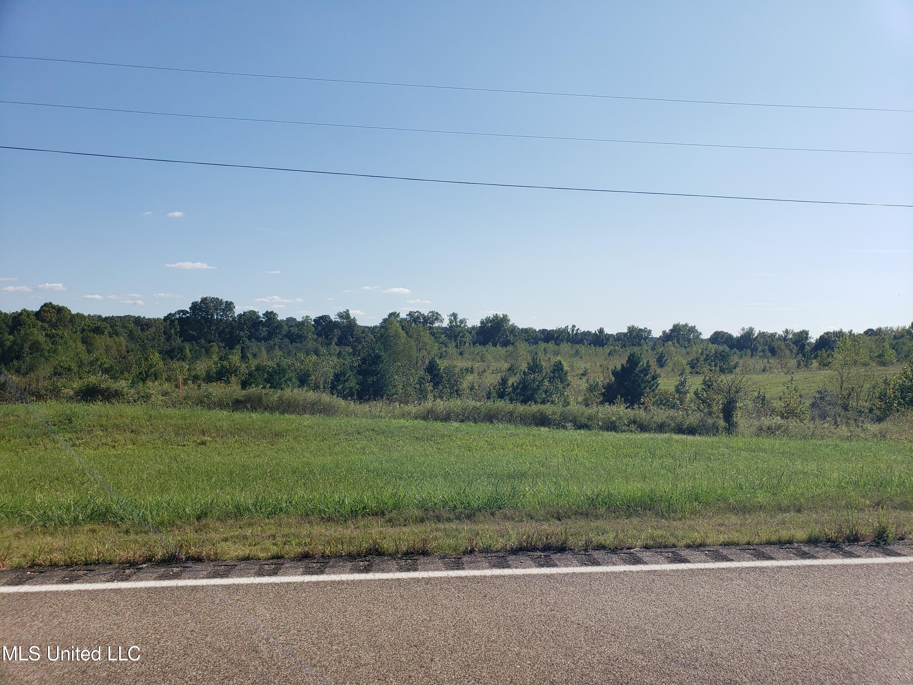 Byhalia Road, Hernando, Mississippi image 43