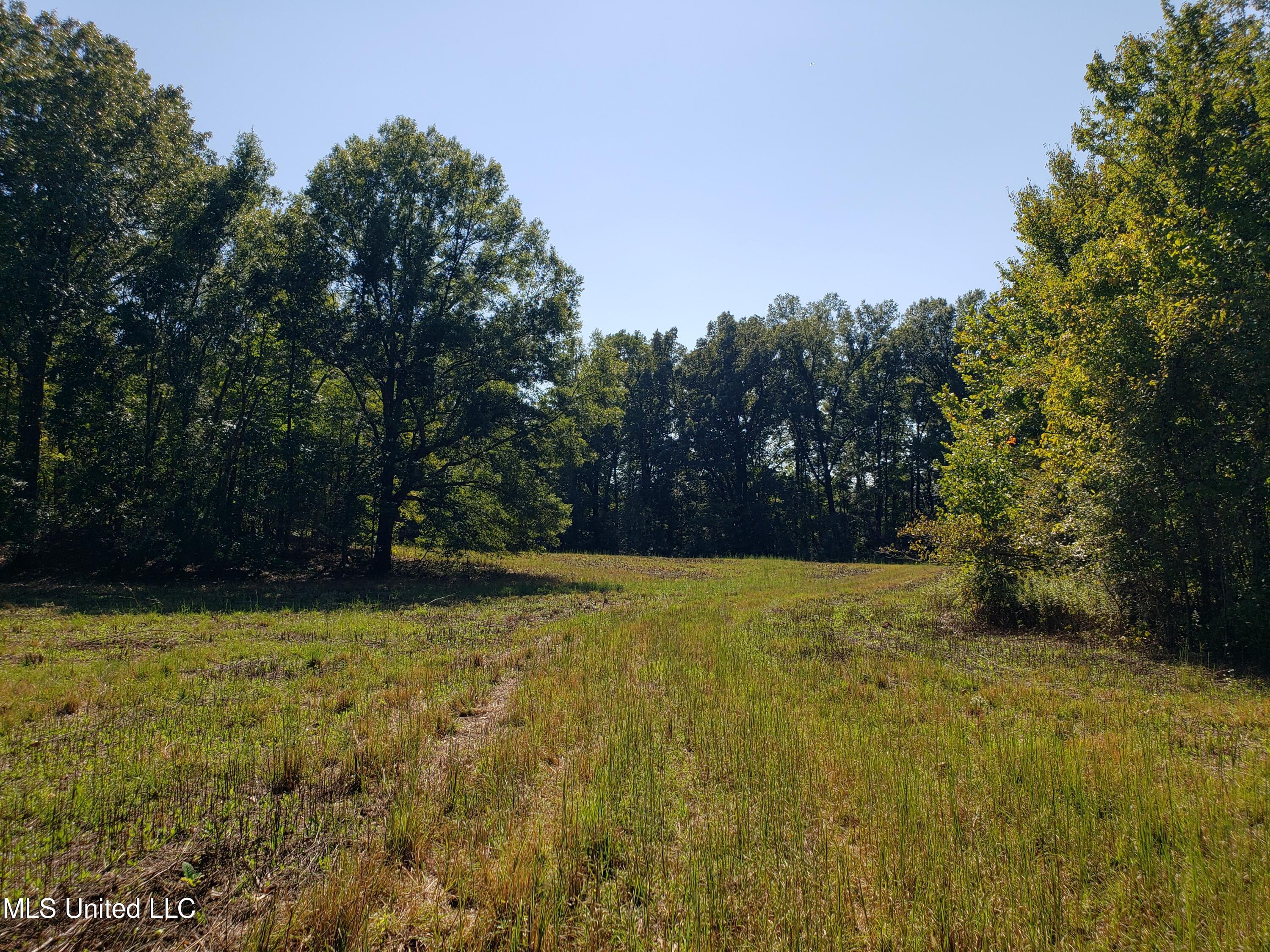 Byhalia Road, Hernando, Mississippi image 13