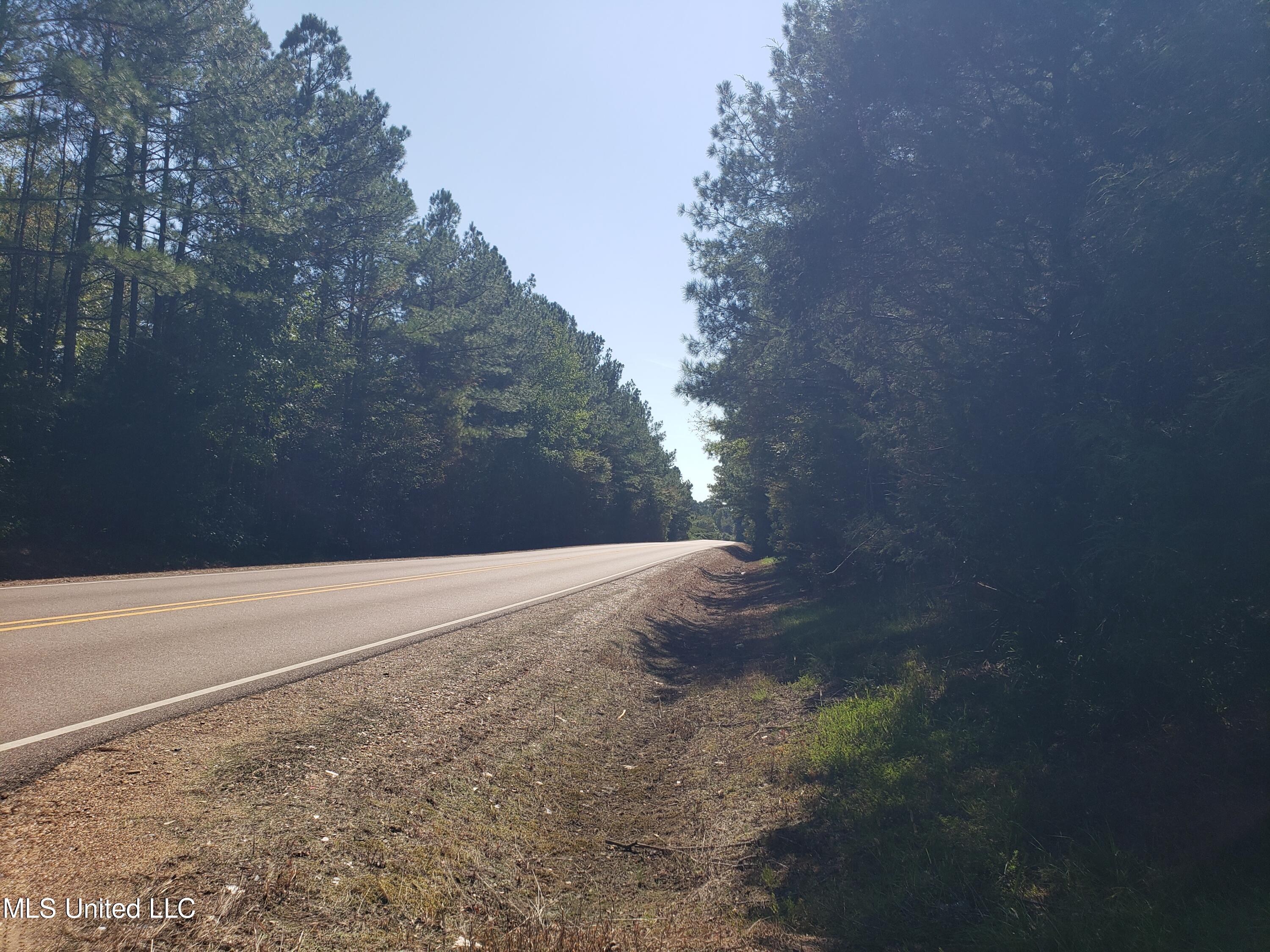 Byhalia Road, Hernando, Mississippi image 17