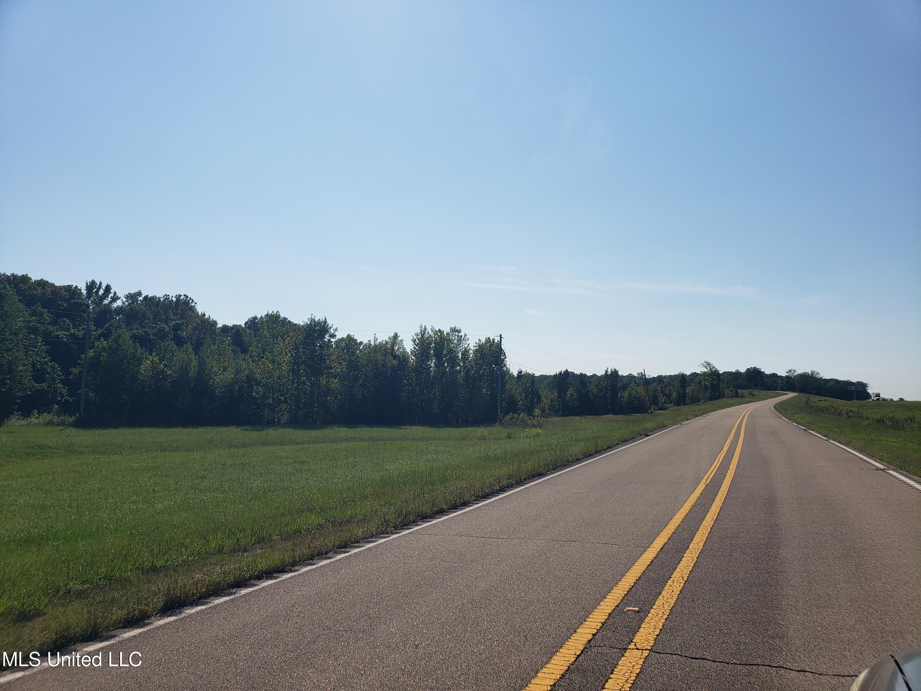 Byhalia Road, Hernando, Mississippi image 39