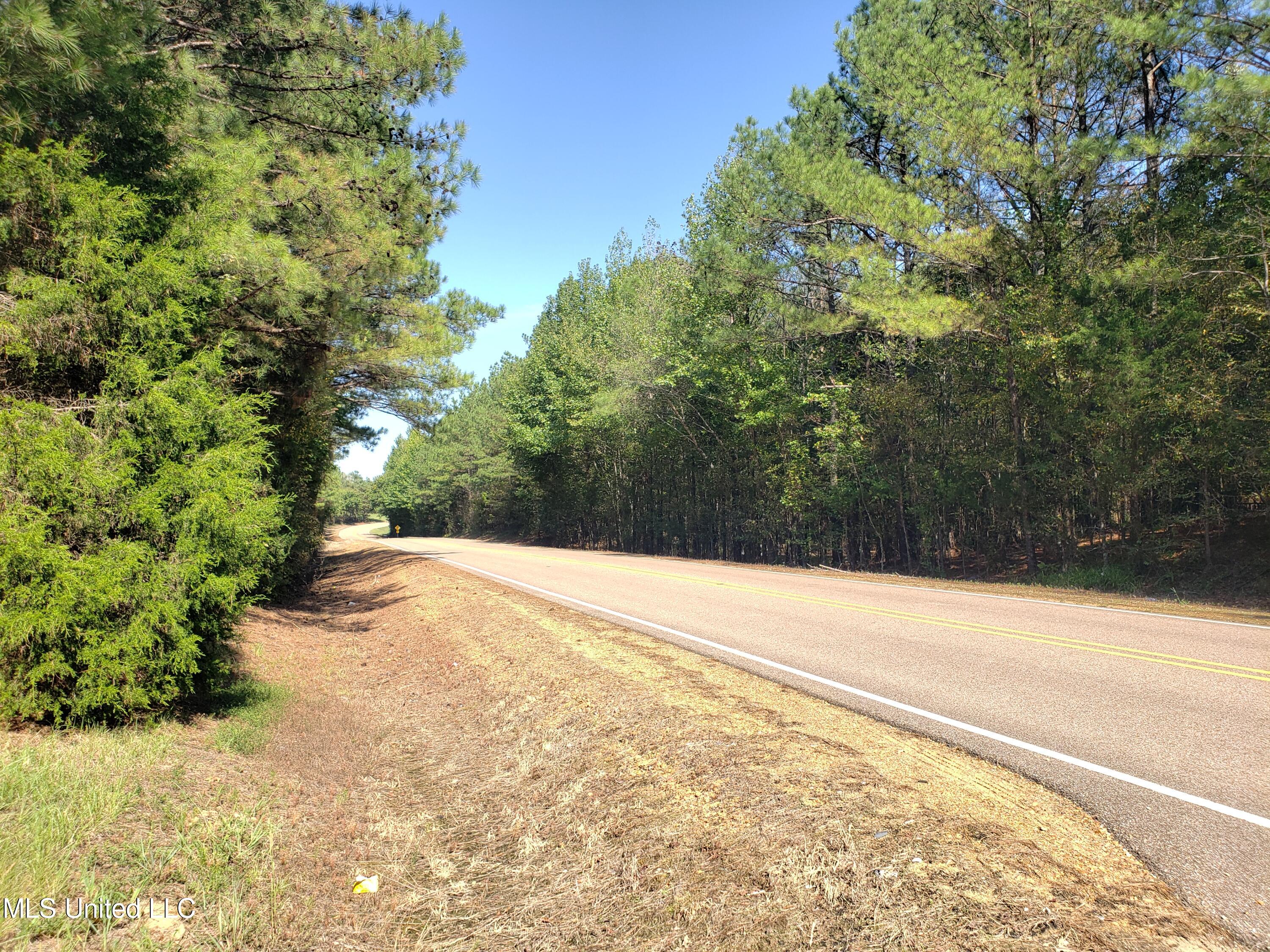 Byhalia Road, Hernando, Mississippi image 18