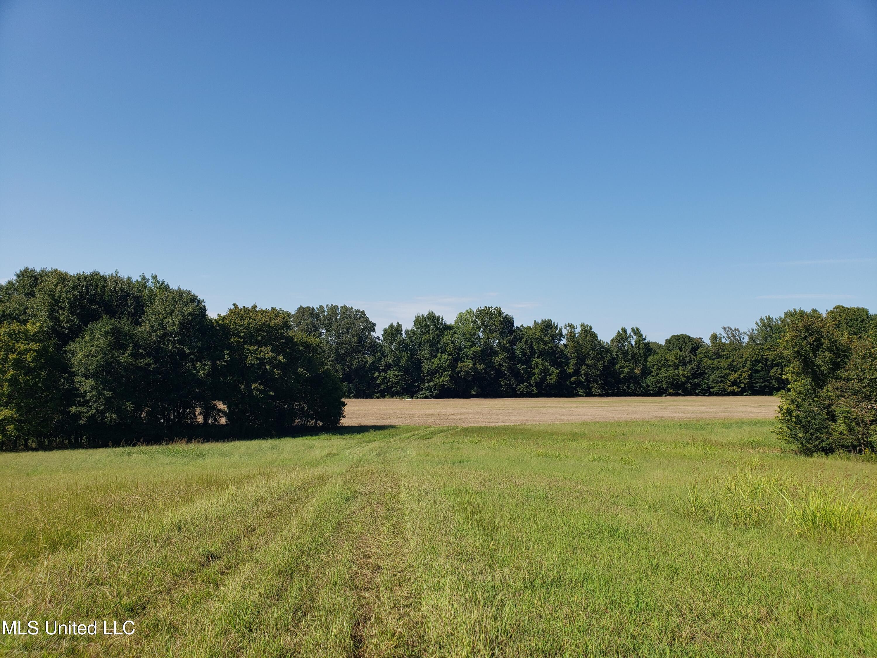 Byhalia Road, Hernando, Mississippi image 2