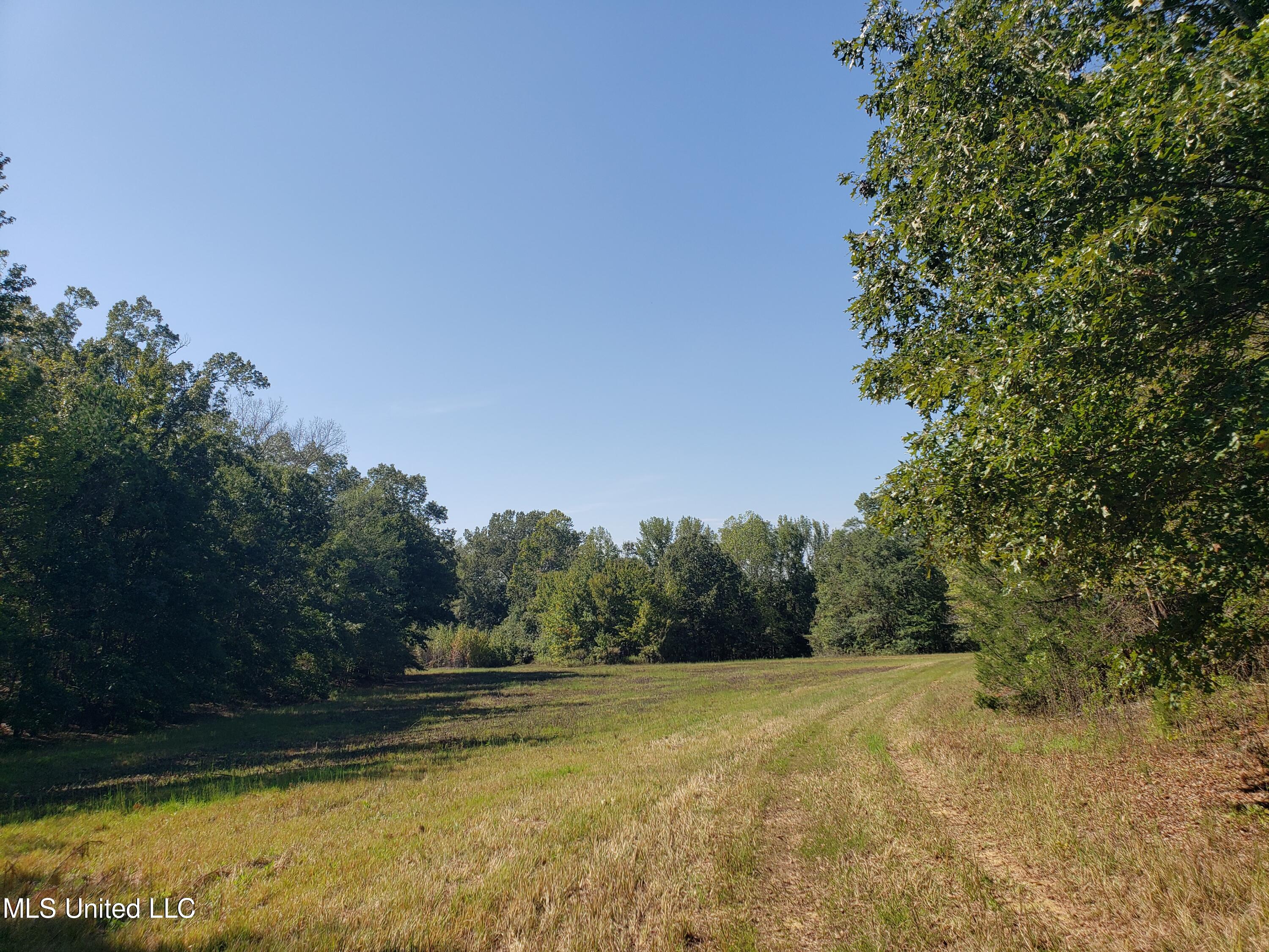 Byhalia Road, Hernando, Mississippi image 12