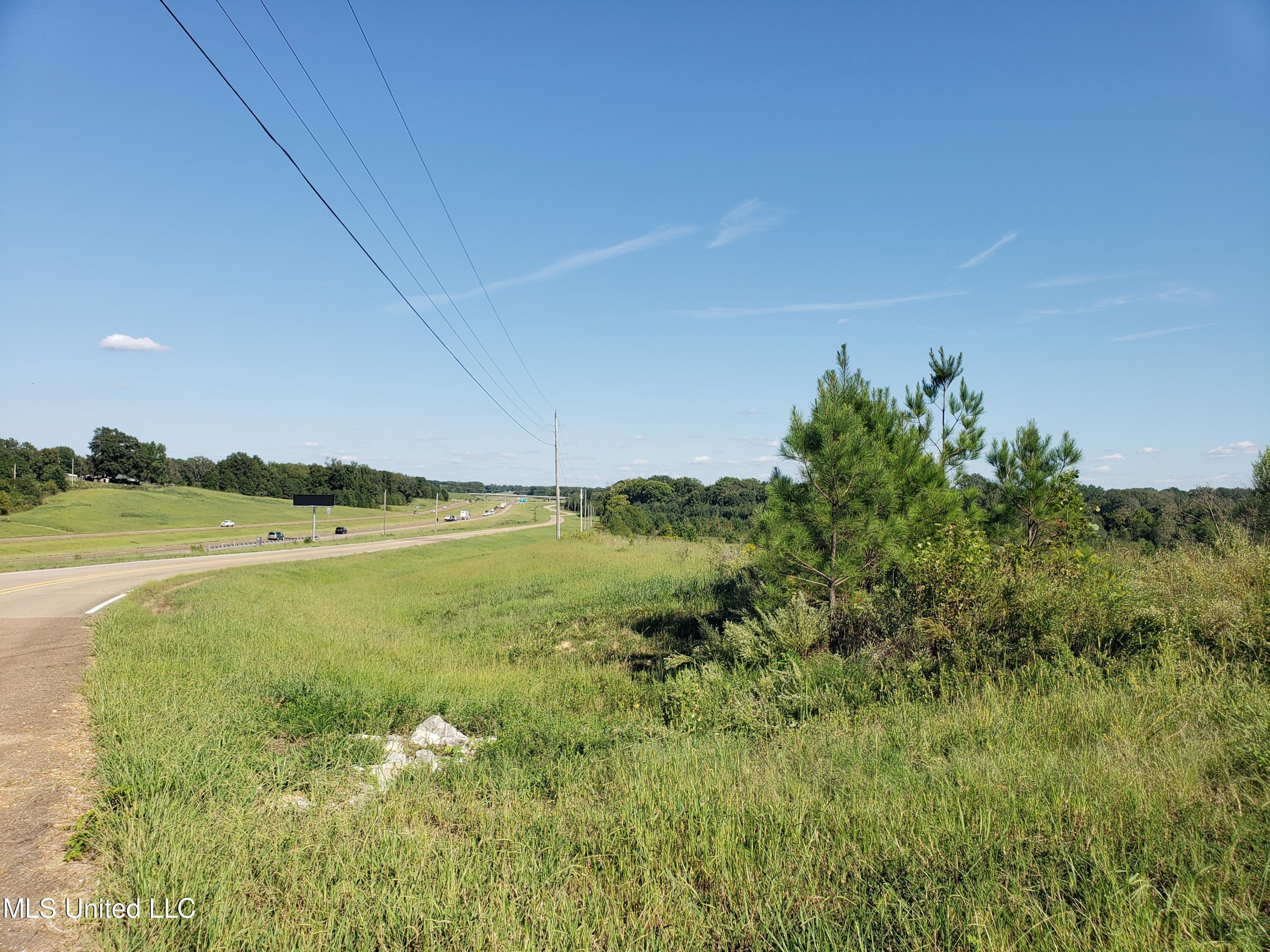 Byhalia Road, Hernando, Mississippi image 3