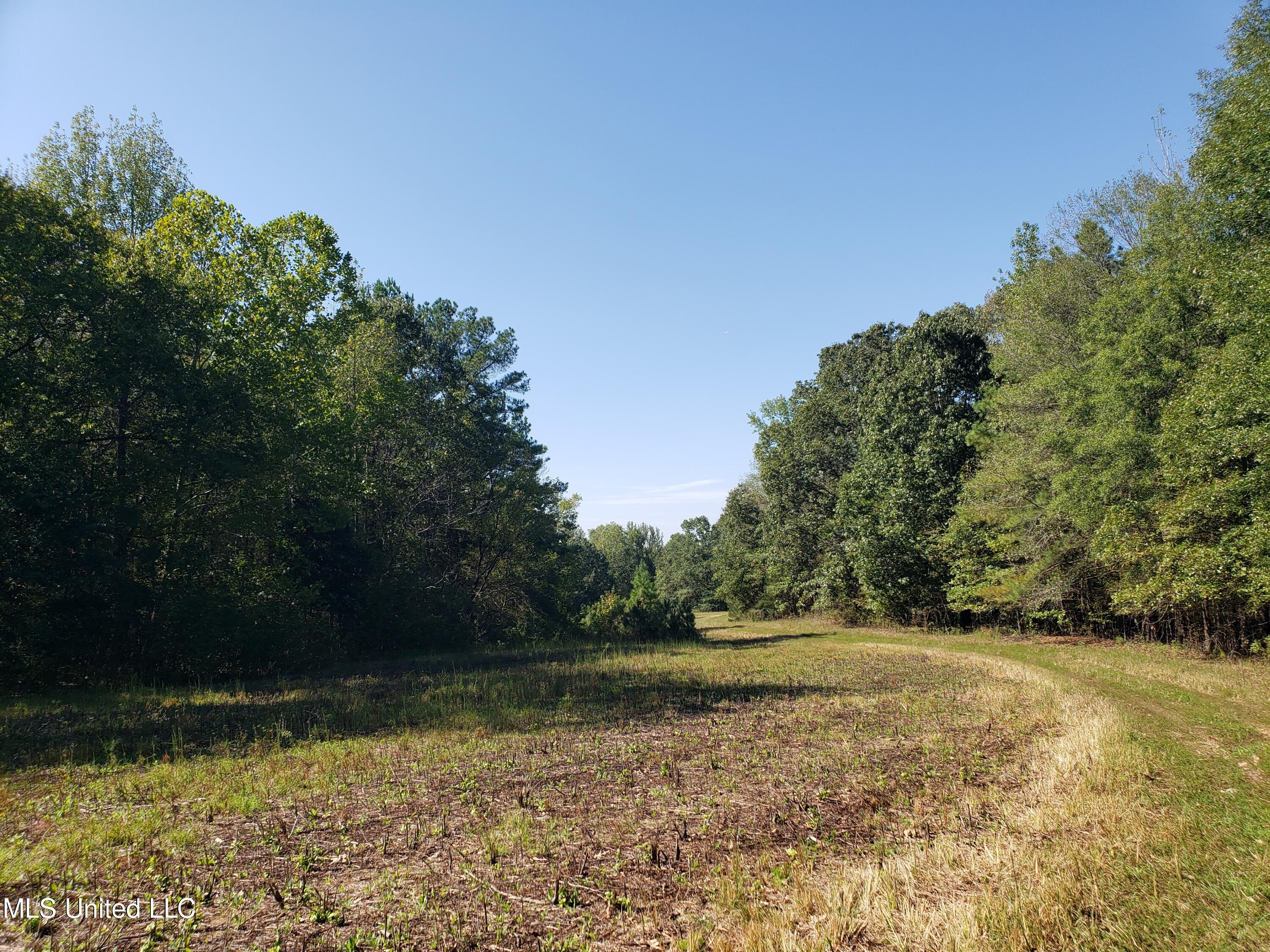 Byhalia Road, Hernando, Mississippi image 9