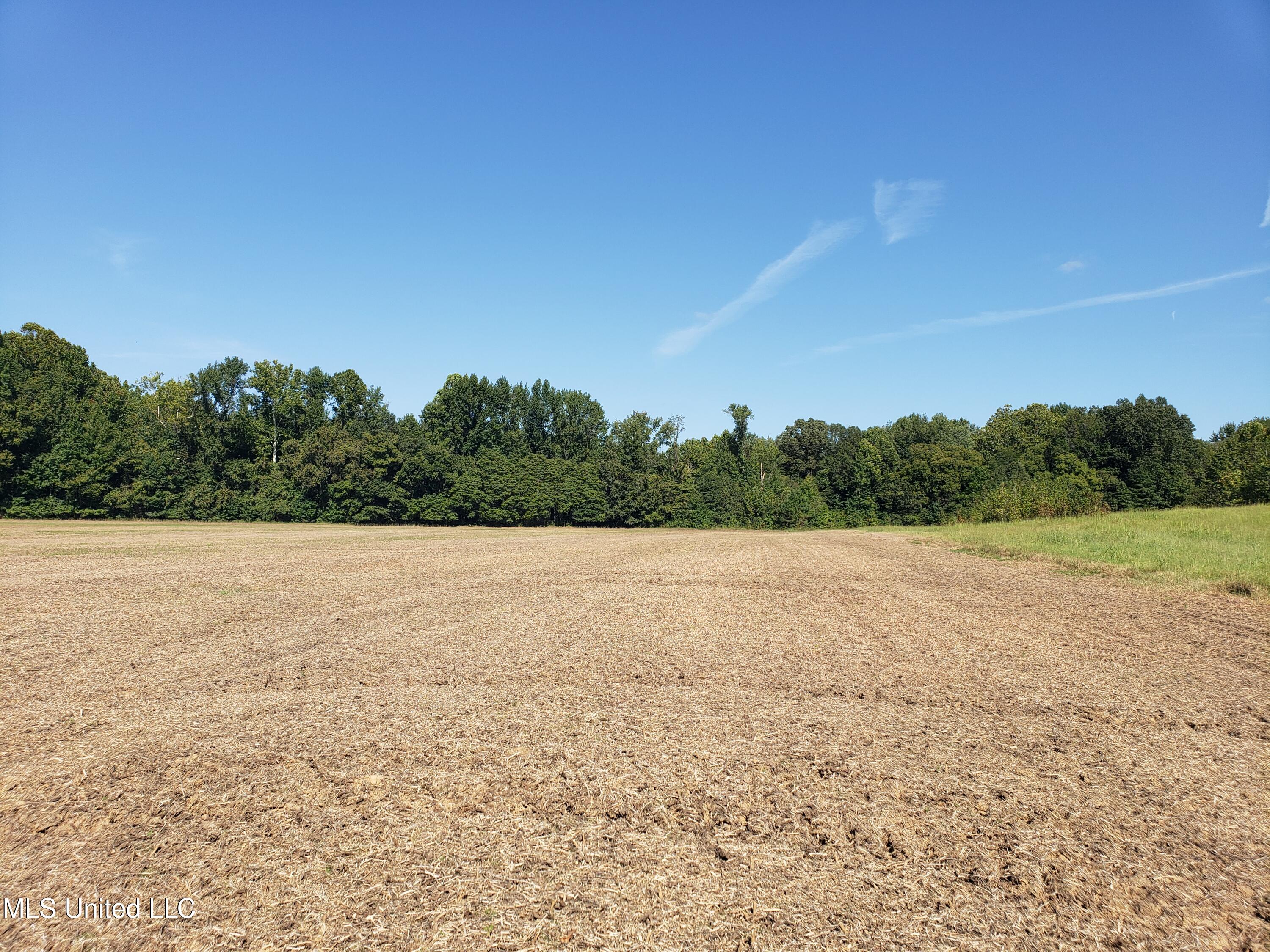 Byhalia Road, Hernando, Mississippi image 35