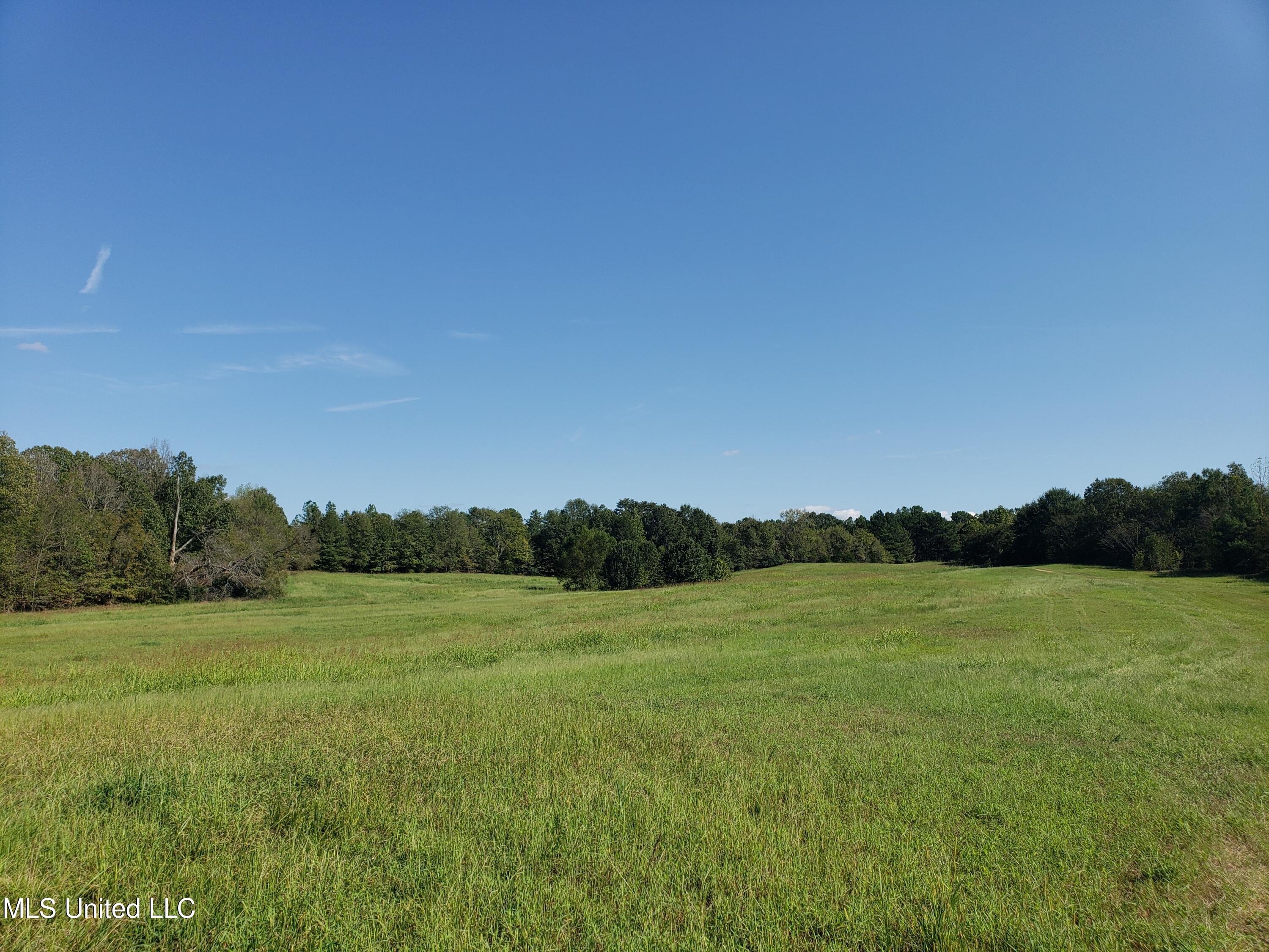 Byhalia Road, Hernando, Mississippi image 36