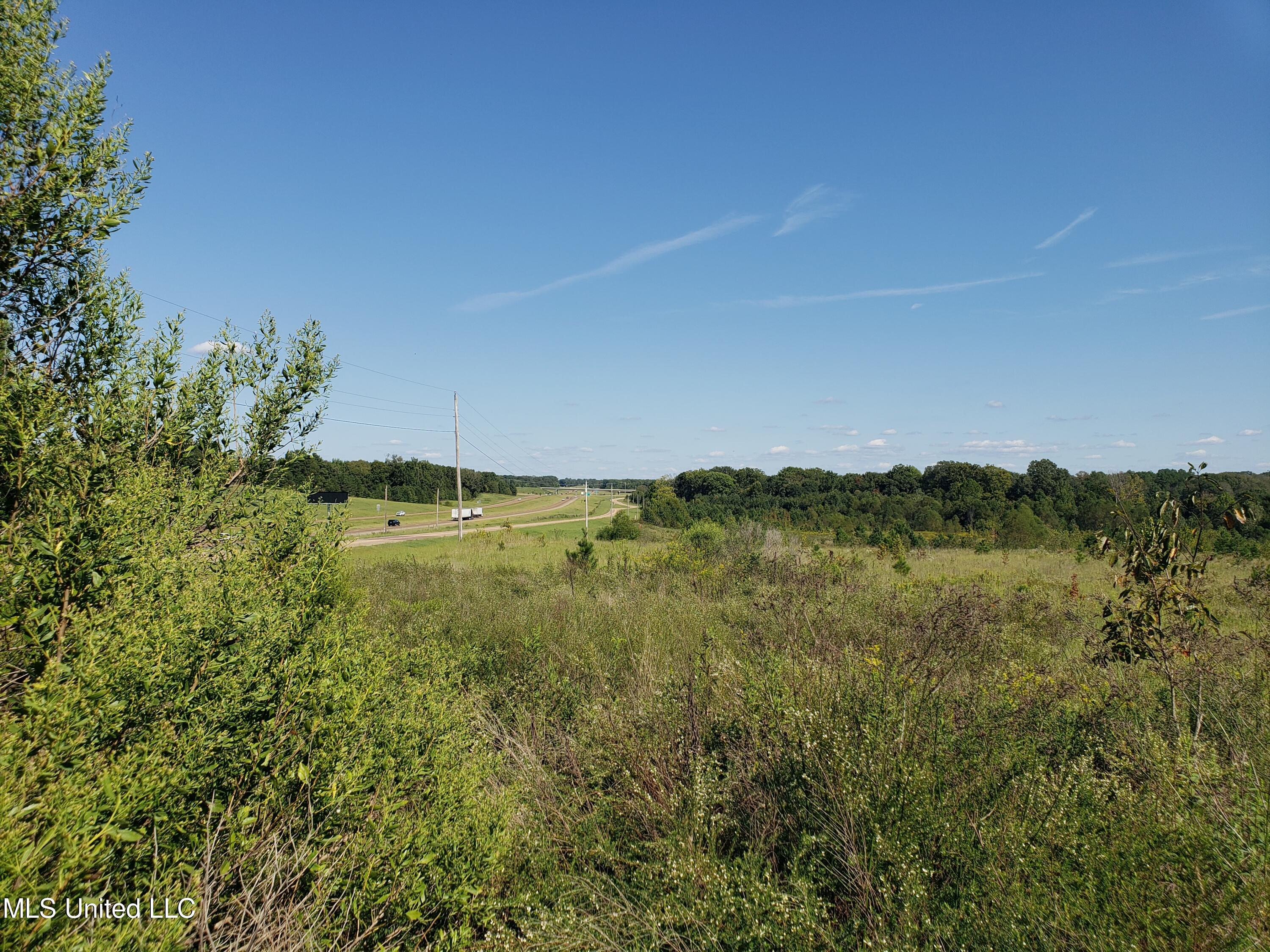 Byhalia Road, Hernando, Mississippi image 46