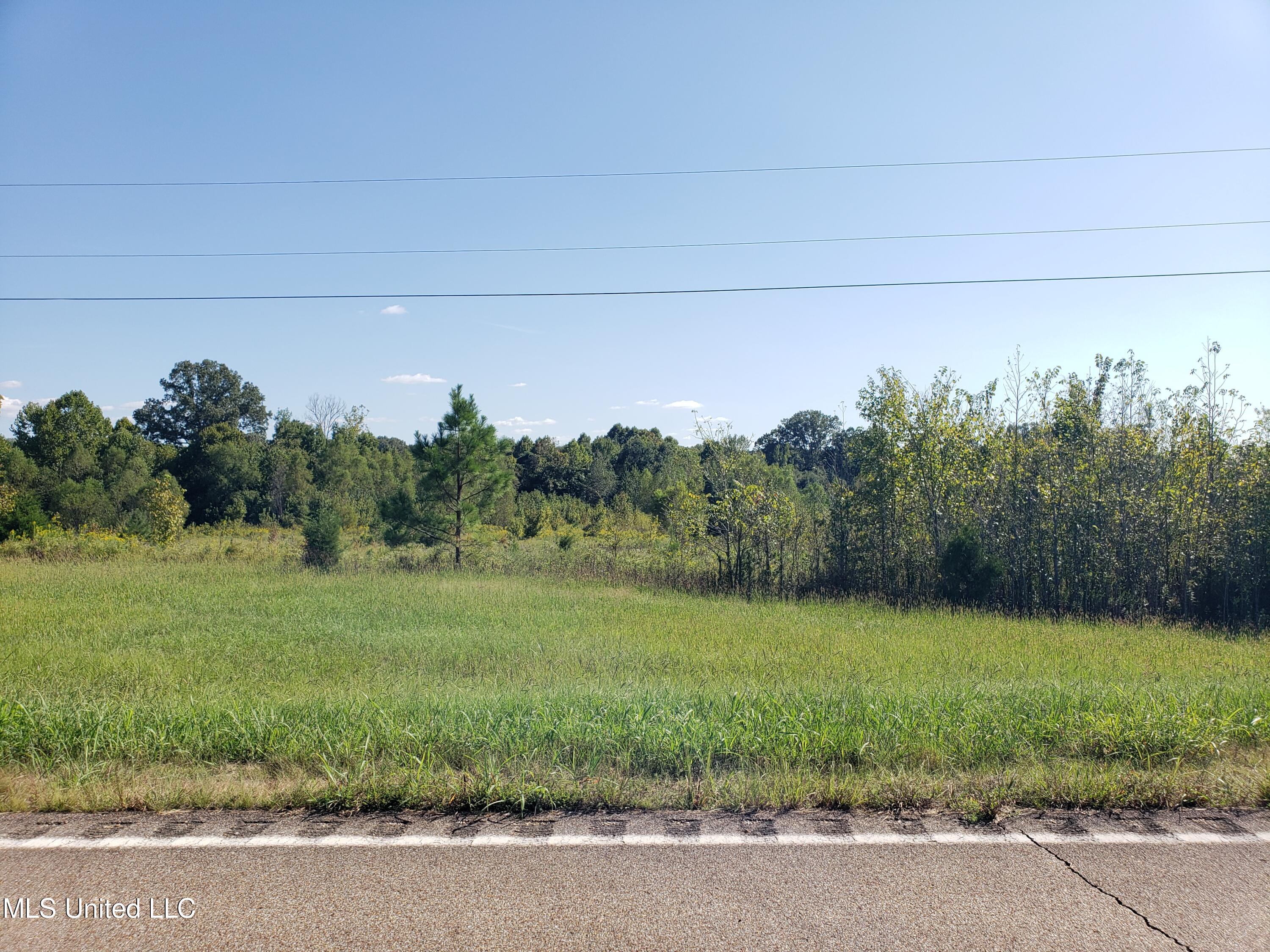 Byhalia Road, Hernando, Mississippi image 42