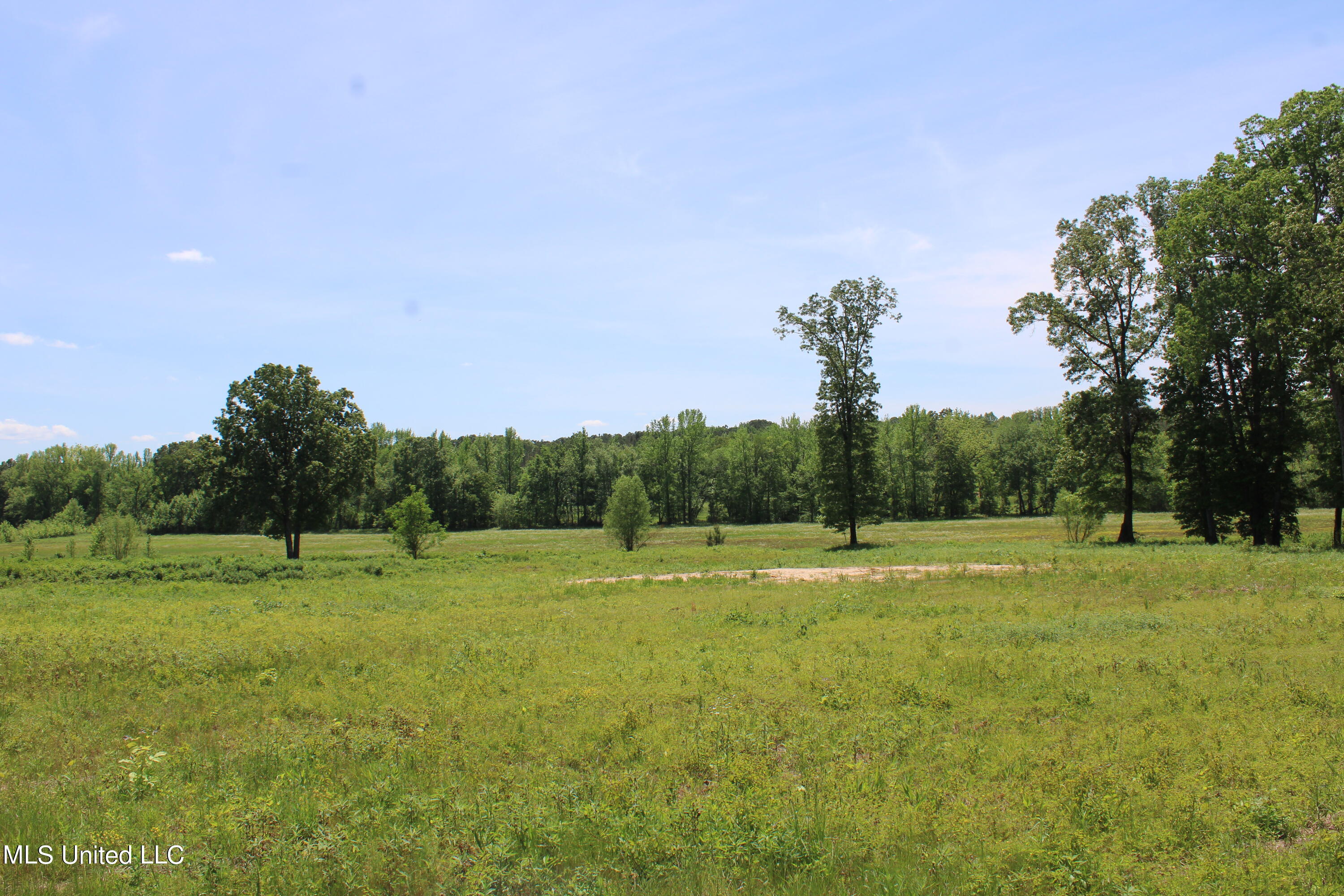 14995 Fairview Road, Byhalia, Mississippi image 5