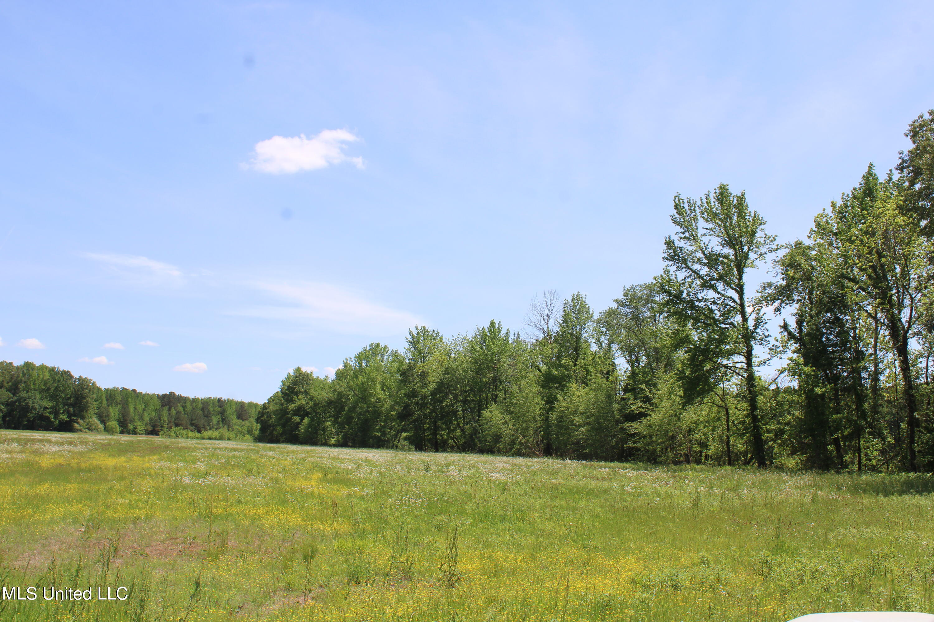 14995 Fairview Road, Byhalia, Mississippi image 1