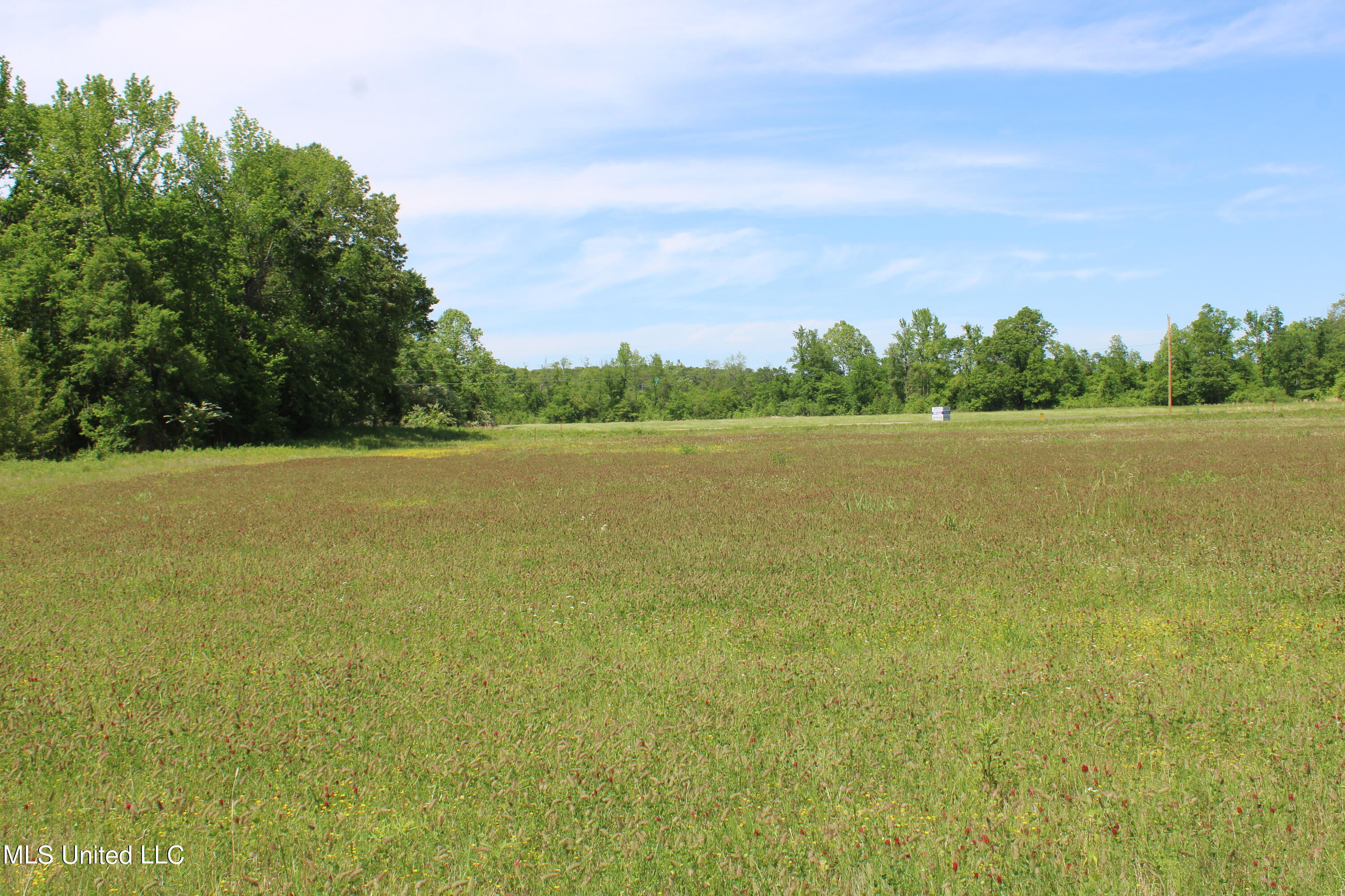 14995 Fairview Road, Byhalia, Mississippi image 30