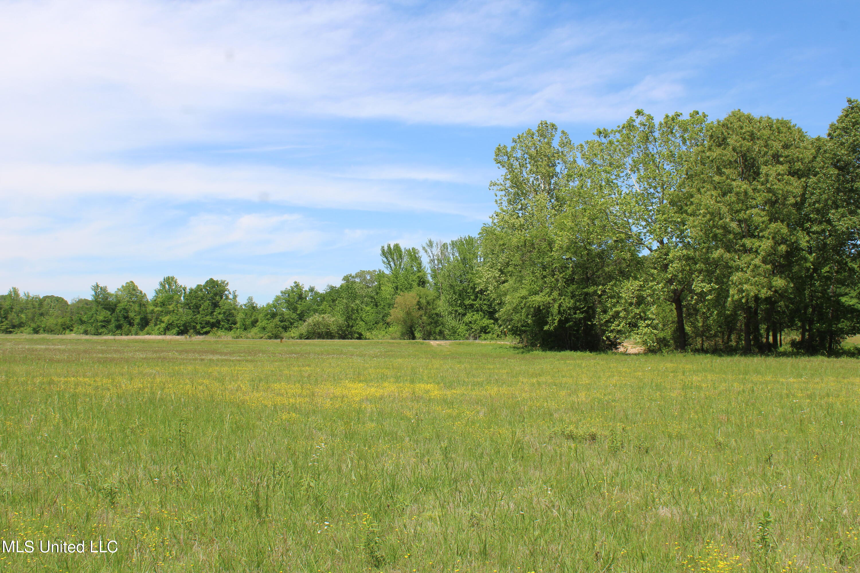 14995 Fairview Road, Byhalia, Mississippi image 23