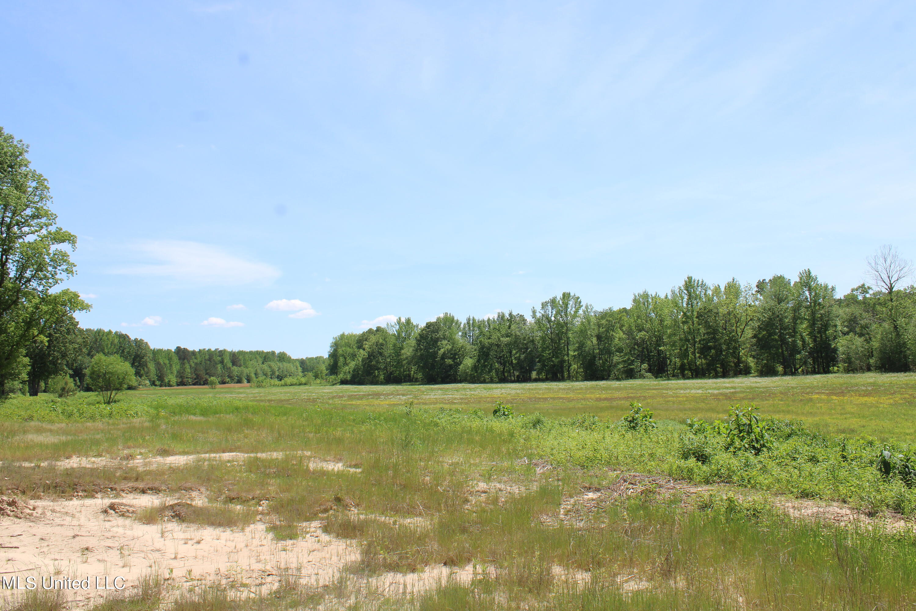 14995 Fairview Road, Byhalia, Mississippi image 13