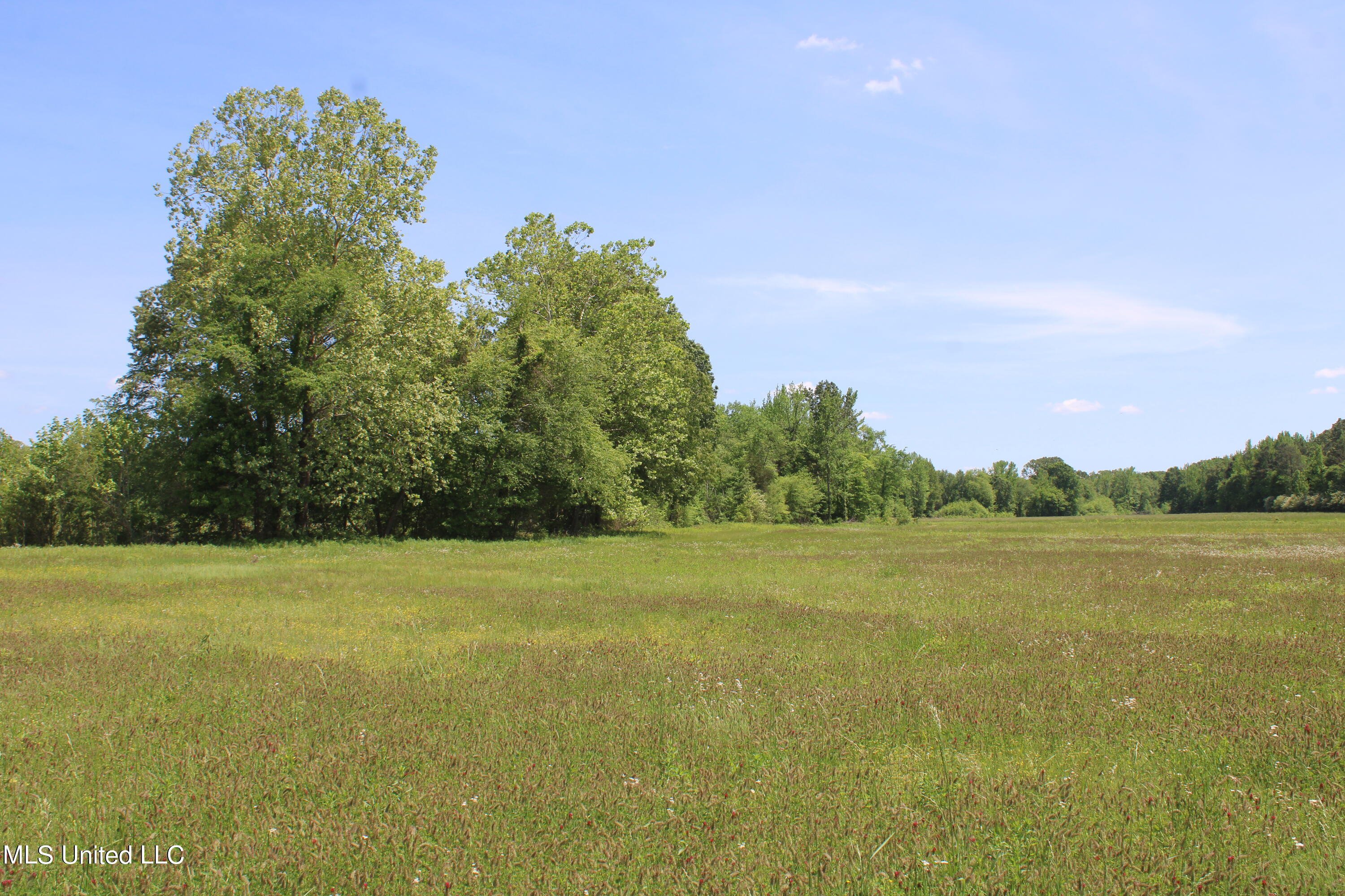 14995 Fairview Road, Byhalia, Mississippi image 22