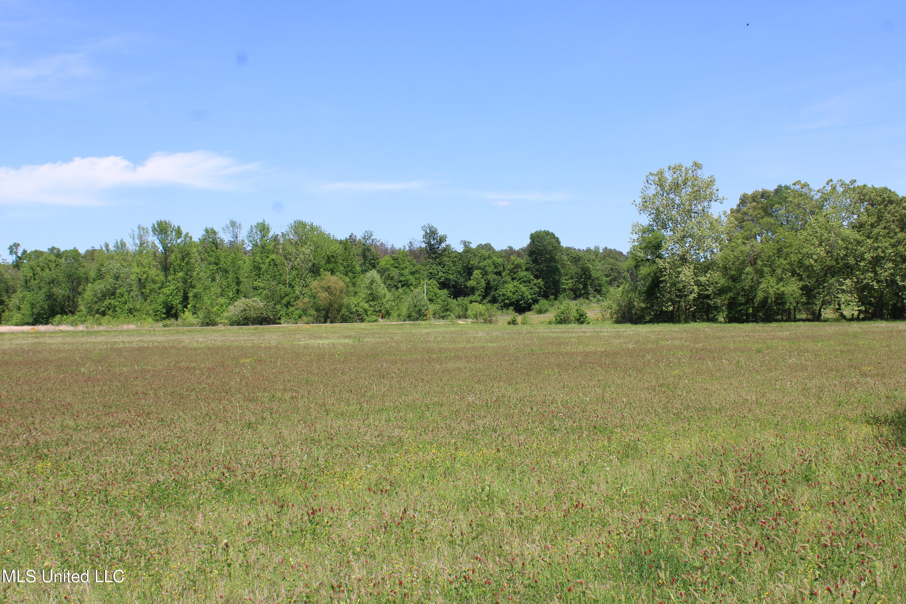 14995 Fairview Road, Byhalia, Mississippi image 31