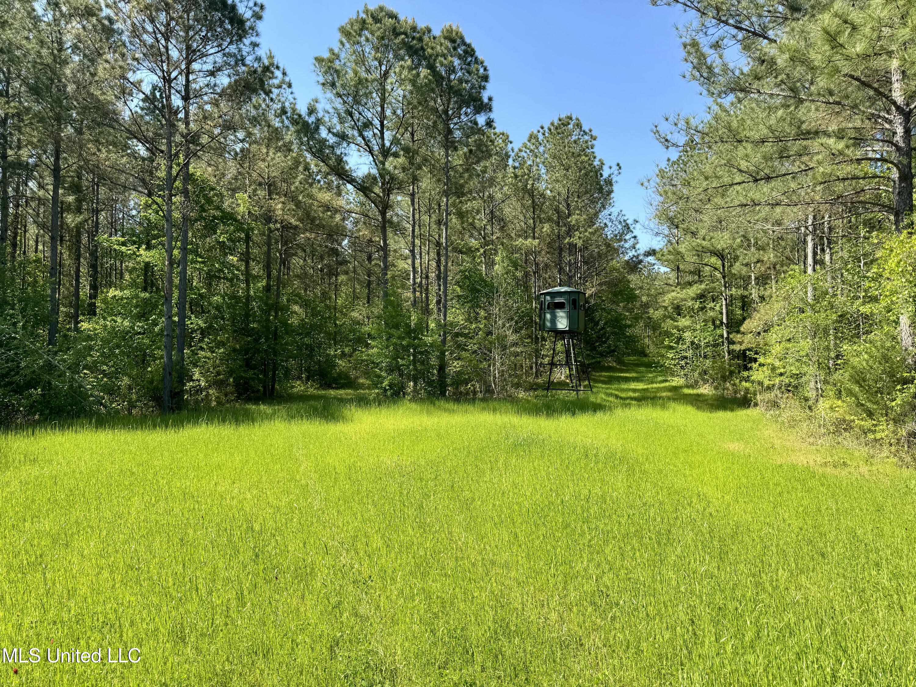 1131 Cauthen Road, Camden, Mississippi image 21