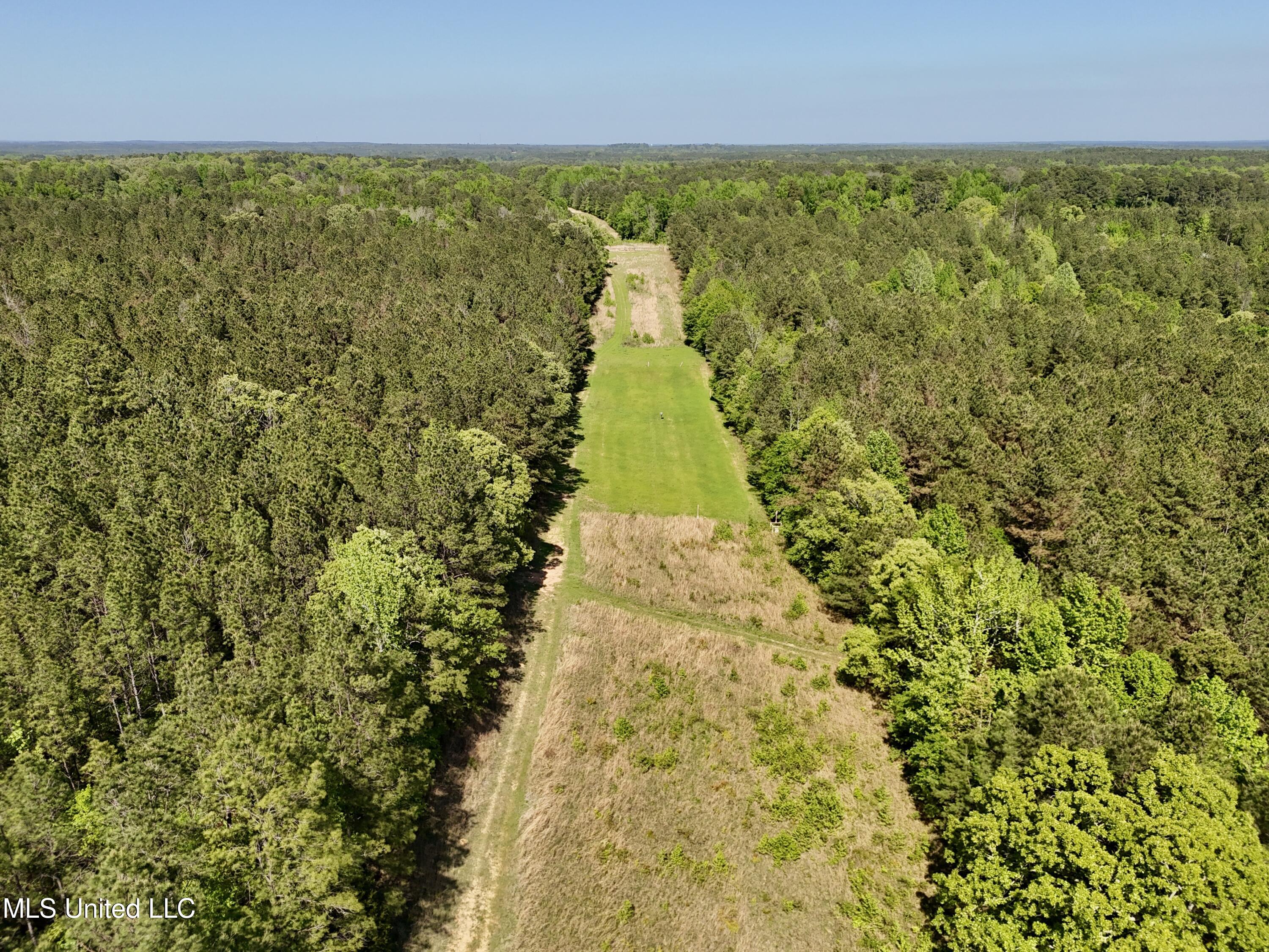 1131 Cauthen Road, Camden, Mississippi image 40