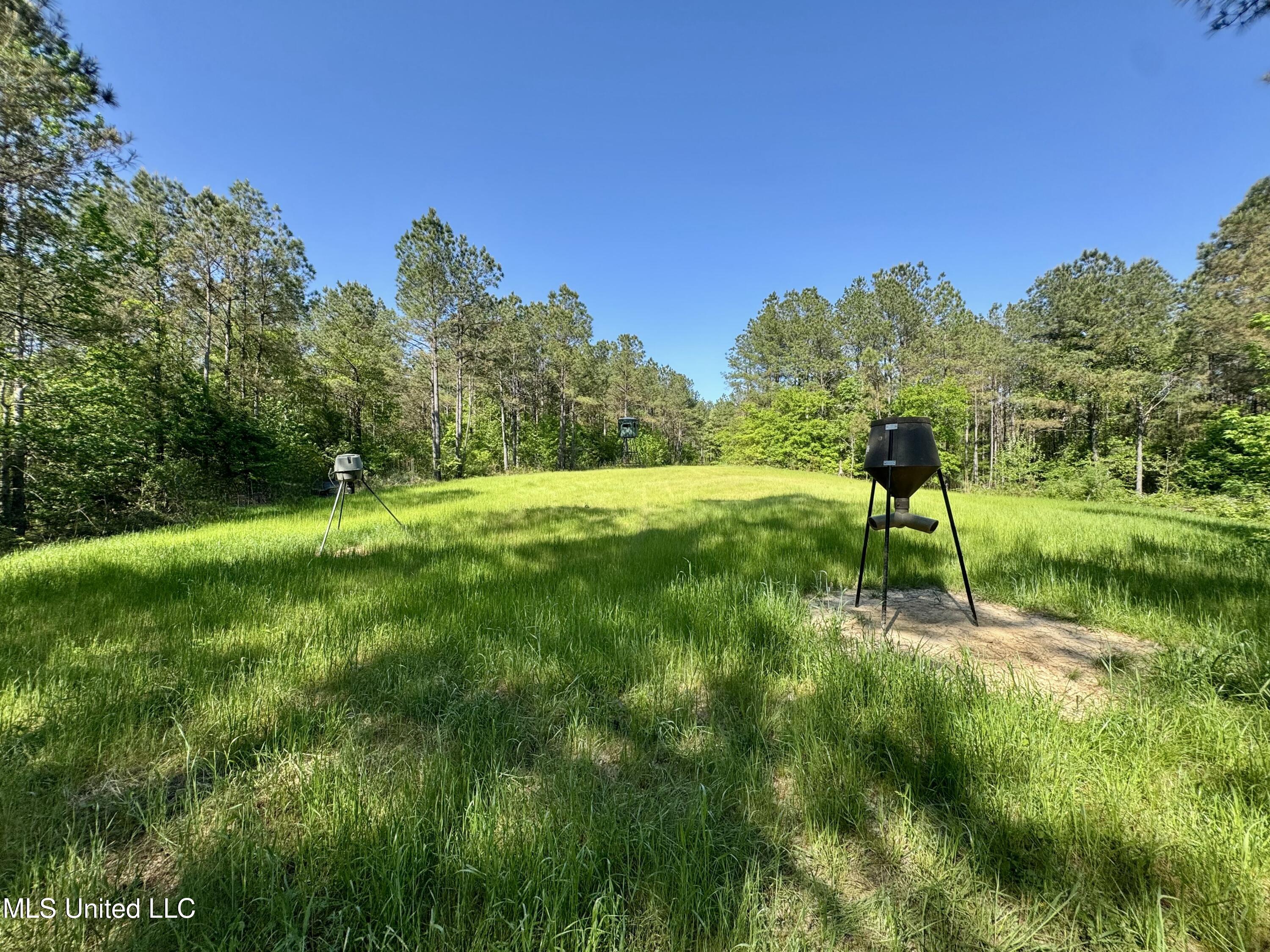 1131 Cauthen Road, Camden, Mississippi image 26