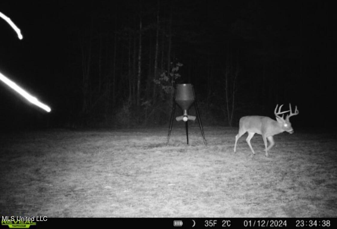 1131 Cauthen Road, Camden, Mississippi image 25