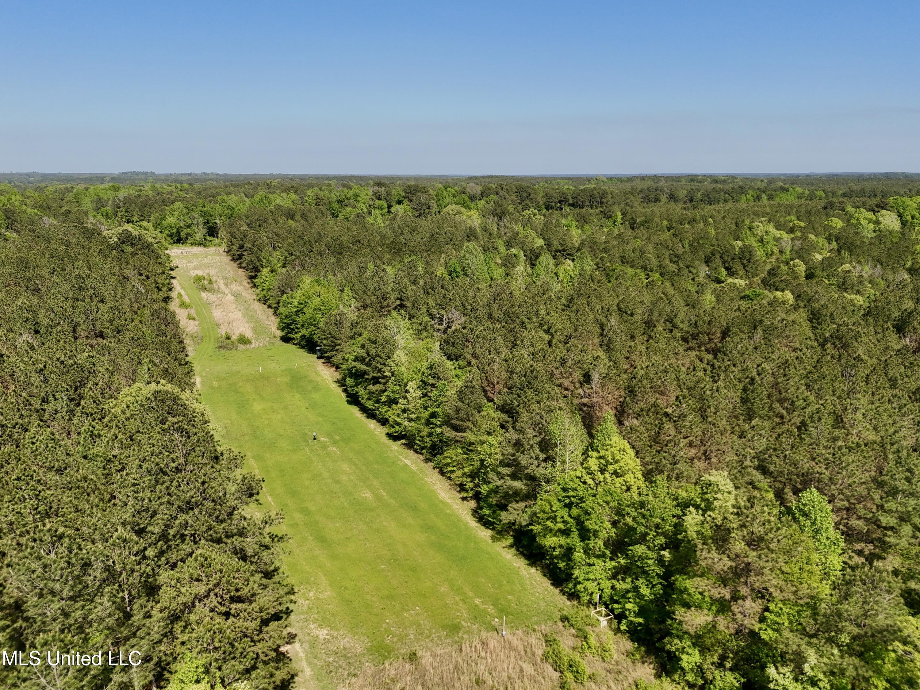 1131 Cauthen Road, Camden, Mississippi image 33