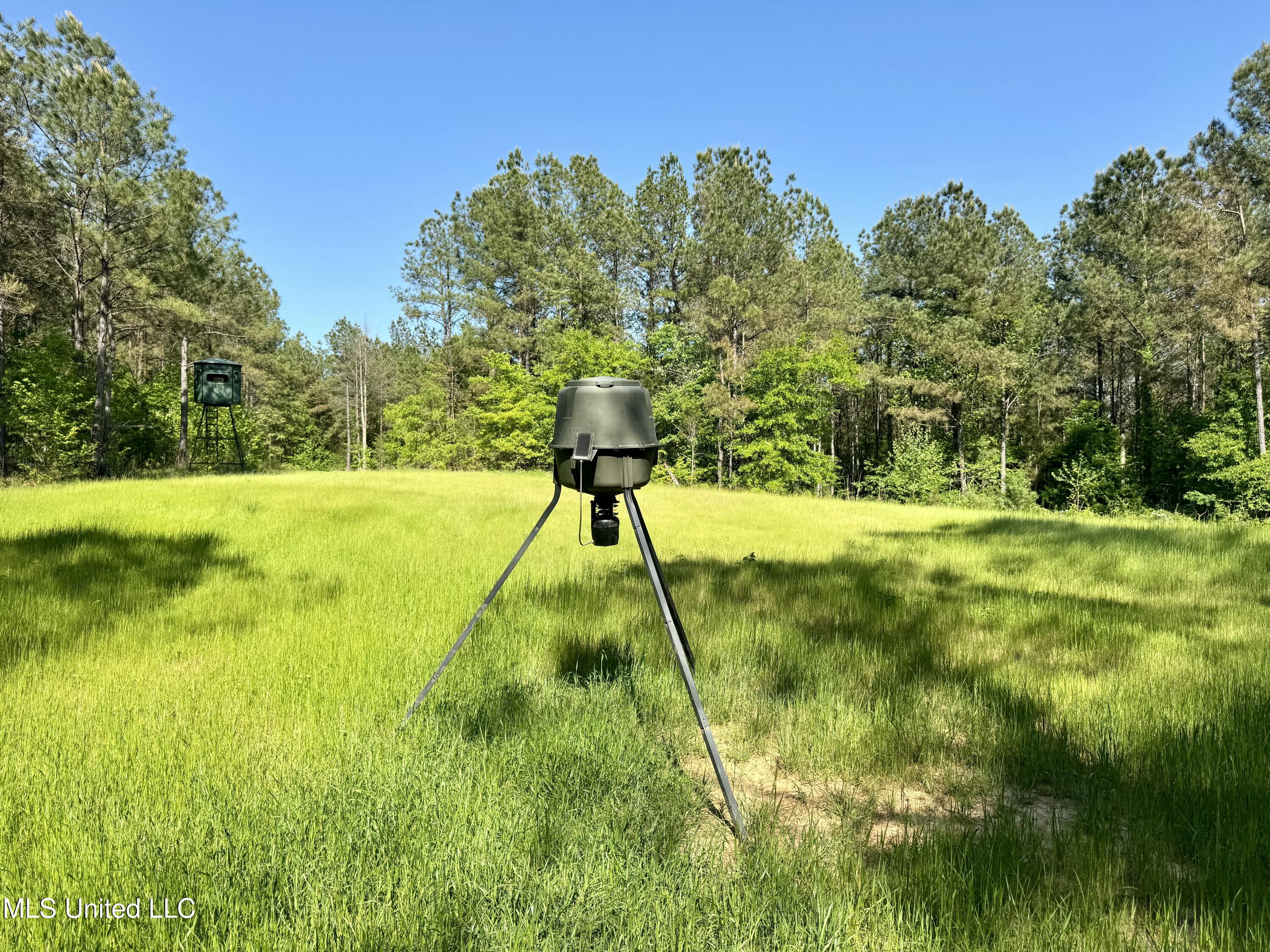 1131 Cauthen Road, Camden, Mississippi image 49