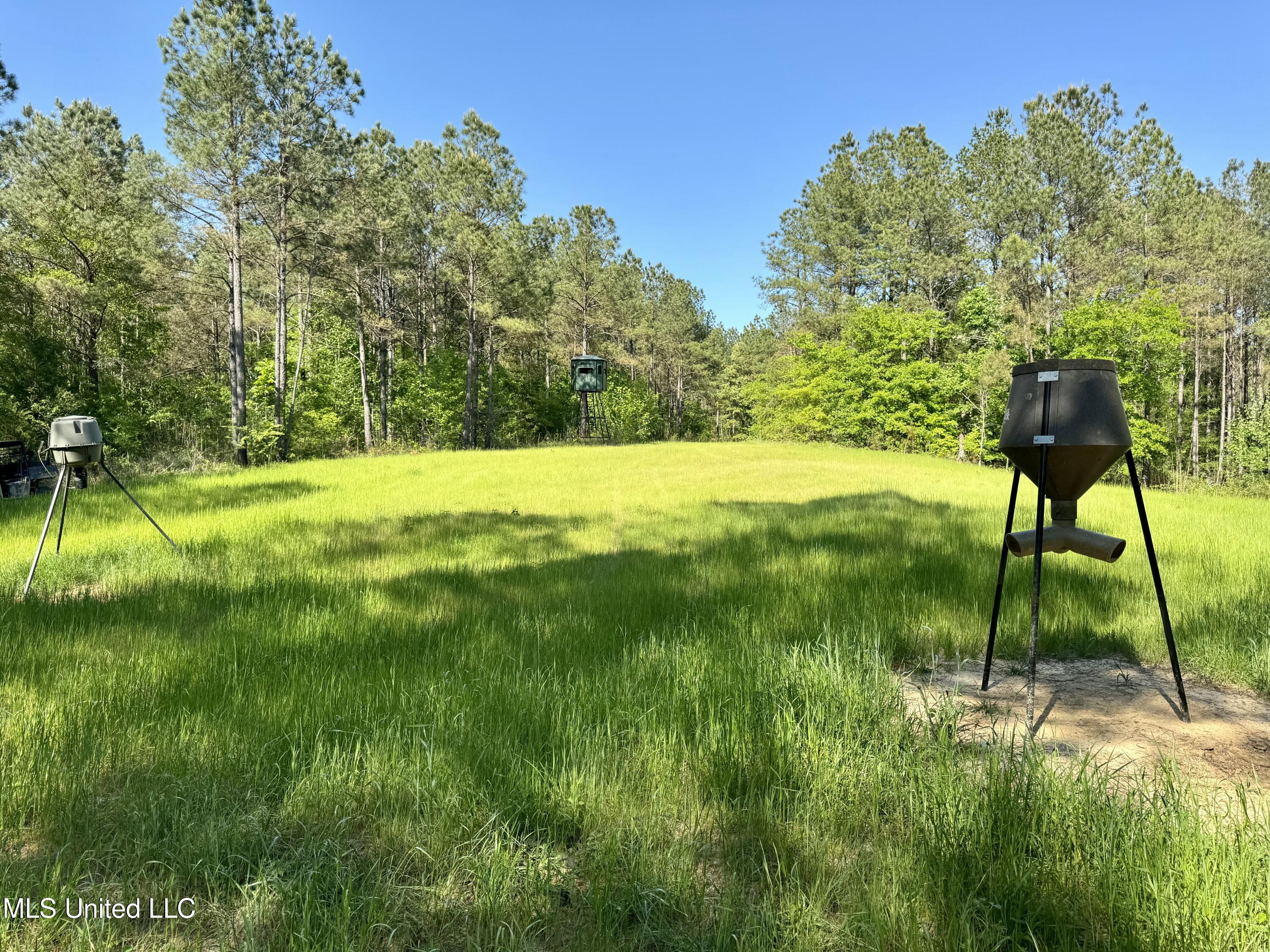 1131 Cauthen Road, Camden, Mississippi image 48