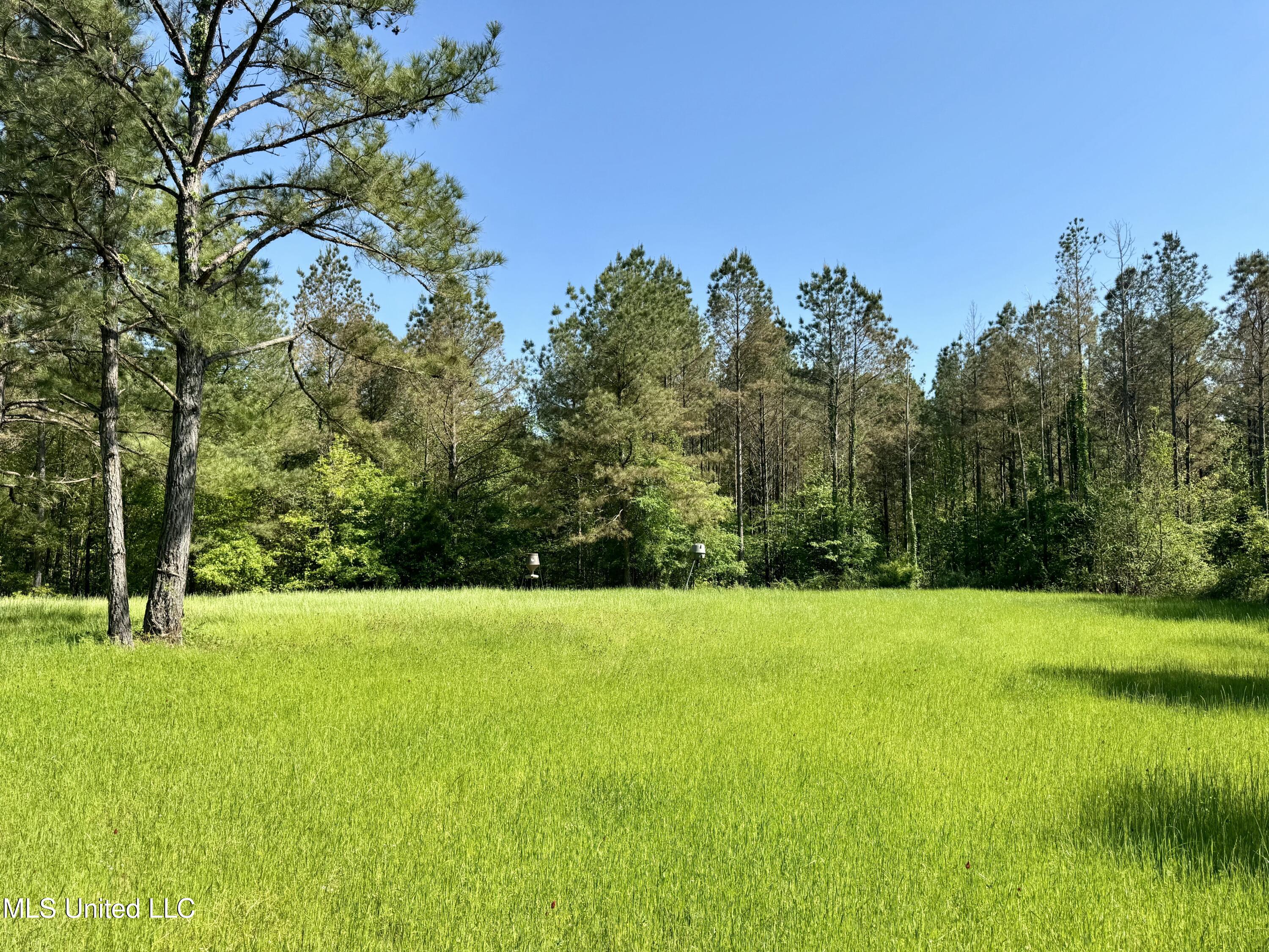 1131 Cauthen Road, Camden, Mississippi image 28