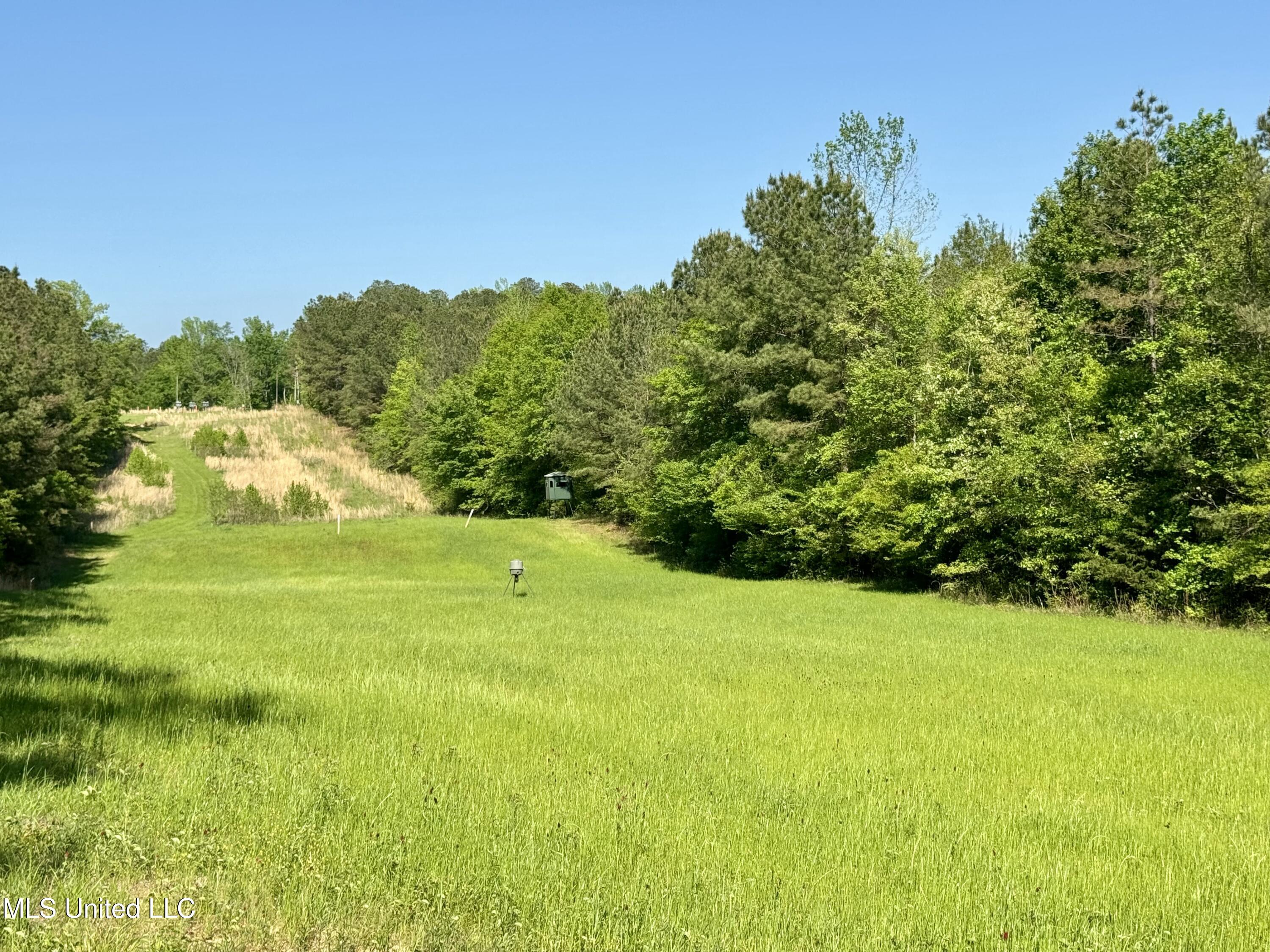 1131 Cauthen Road, Camden, Mississippi image 38