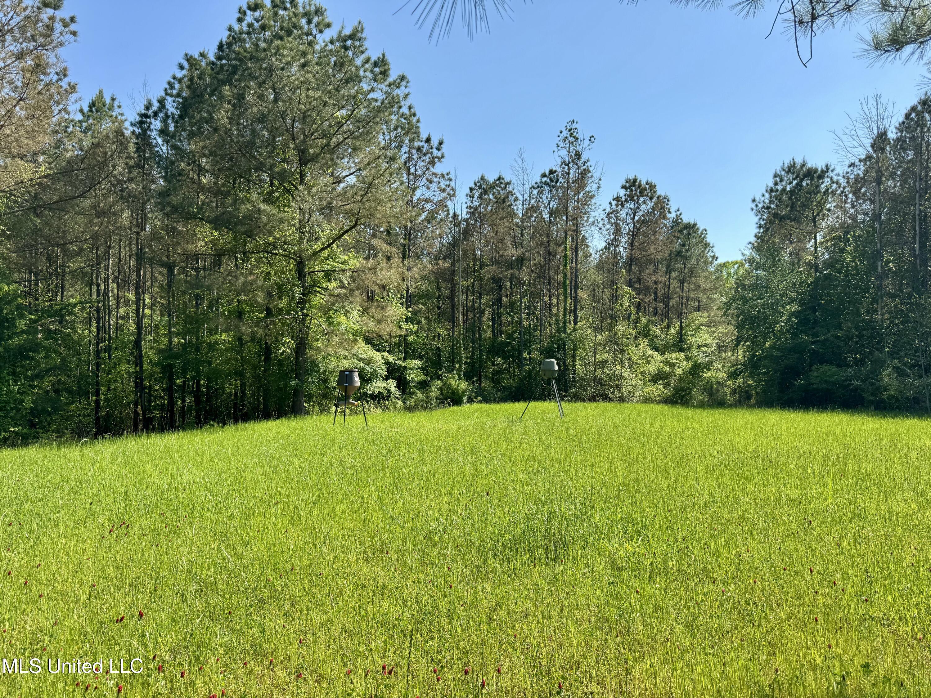 1131 Cauthen Road, Camden, Mississippi image 31