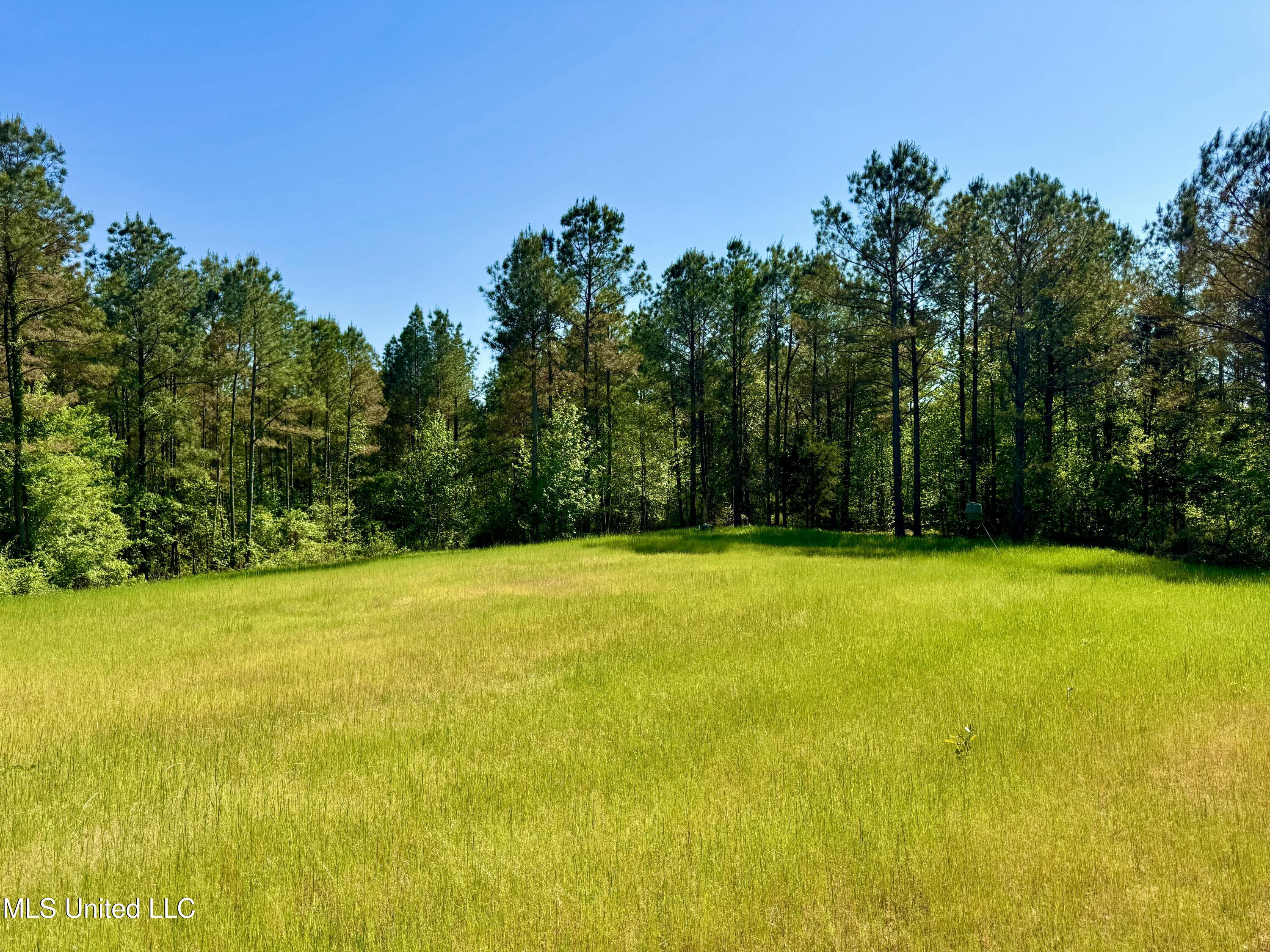 1131 Cauthen Road, Camden, Mississippi image 42