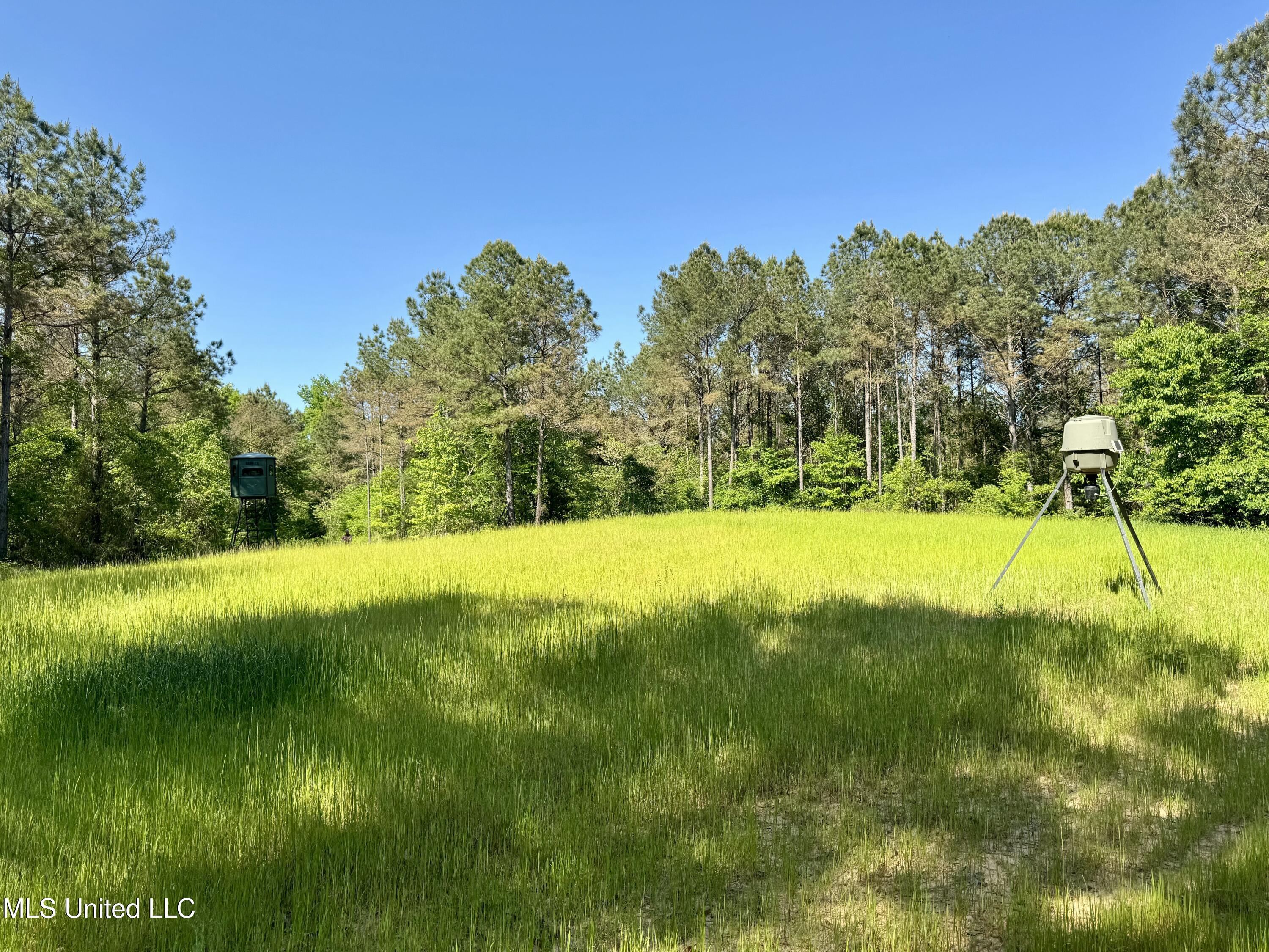 1131 Cauthen Road, Camden, Mississippi image 43