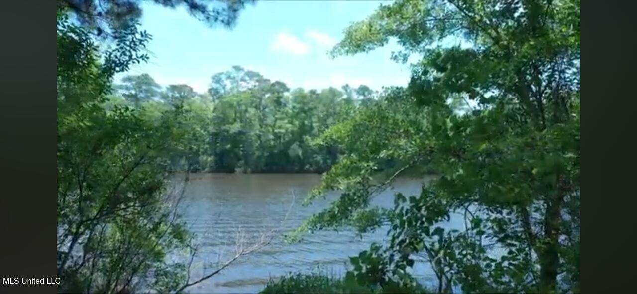 Audubon Trail, Biloxi, Mississippi image 5