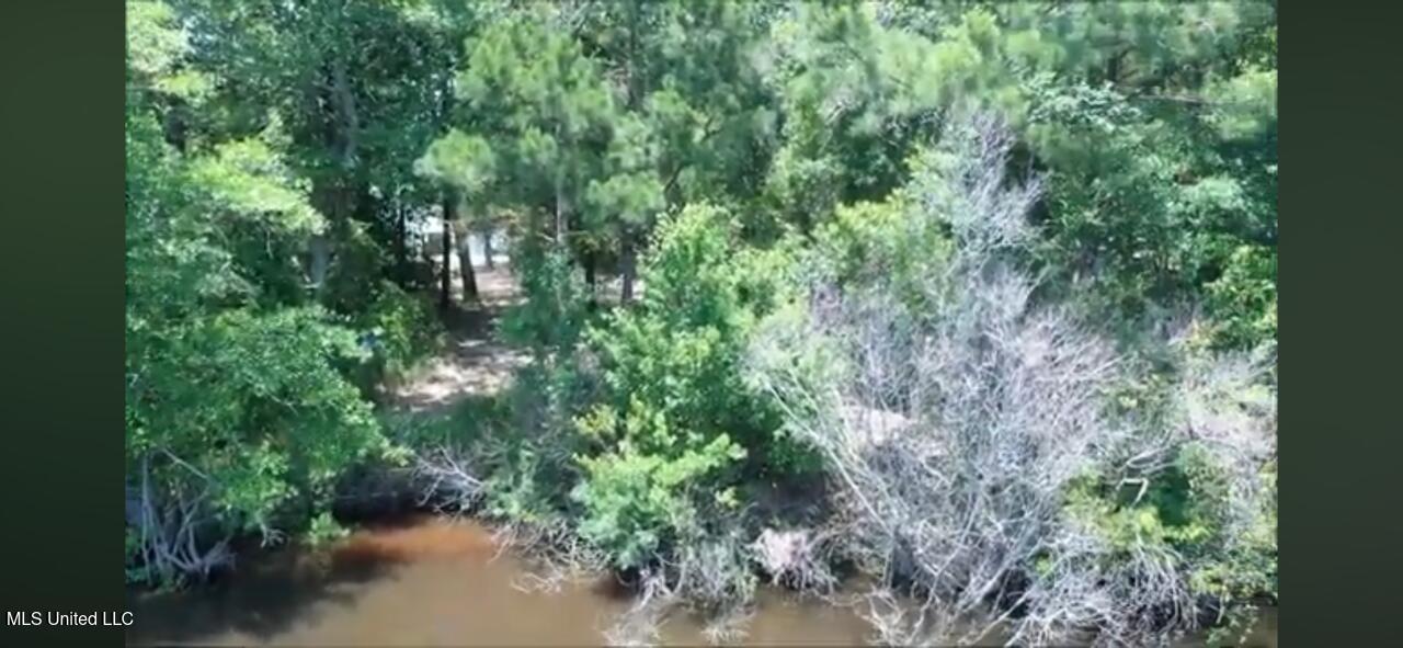 Audubon Trail, Biloxi, Mississippi image 9